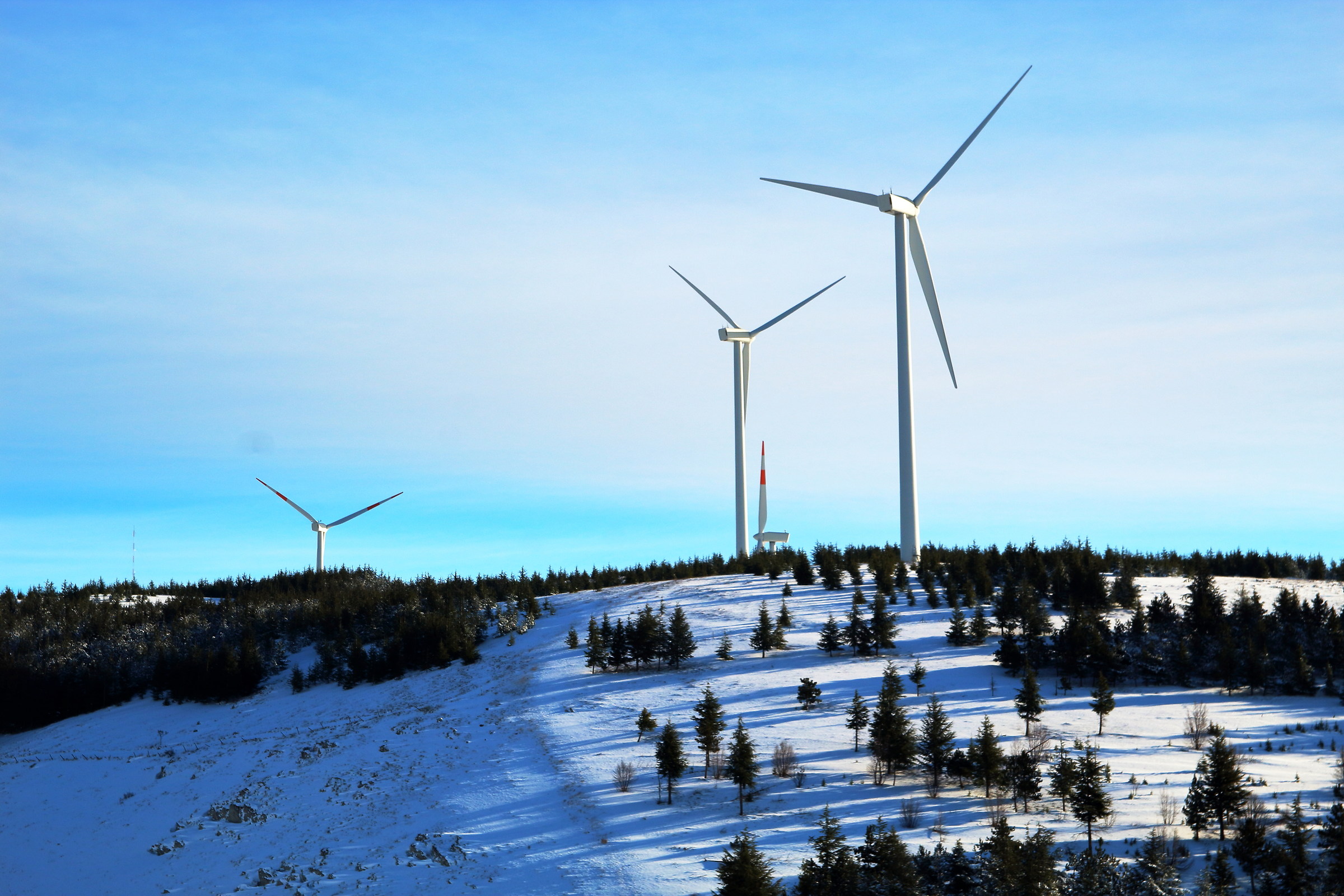 The Dwarves and the Giants