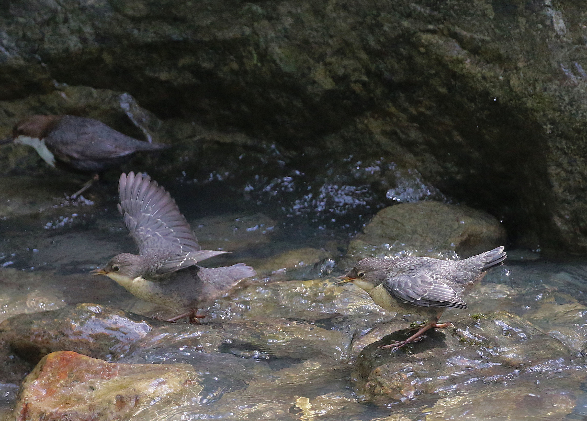 Discovering the world close to mommy!