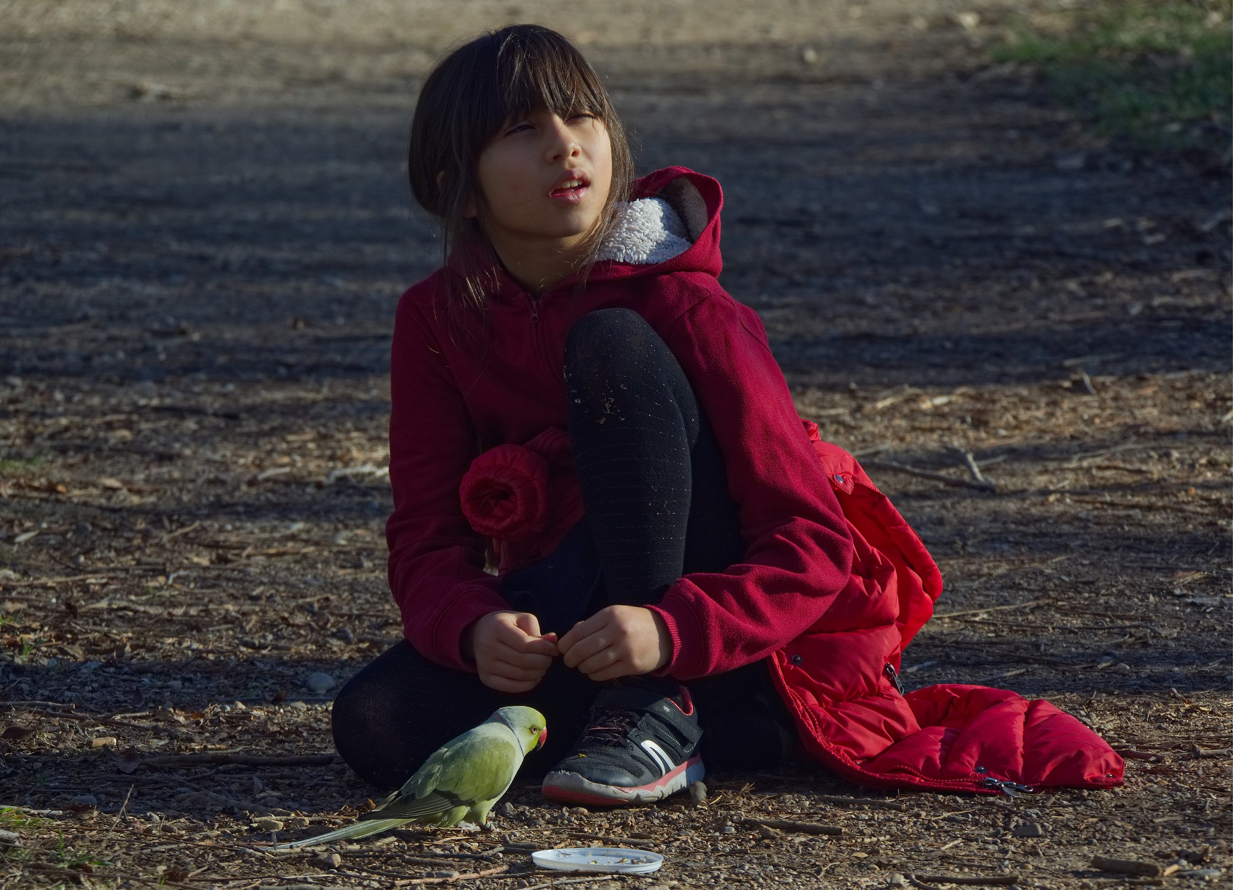 The girl is the parrot