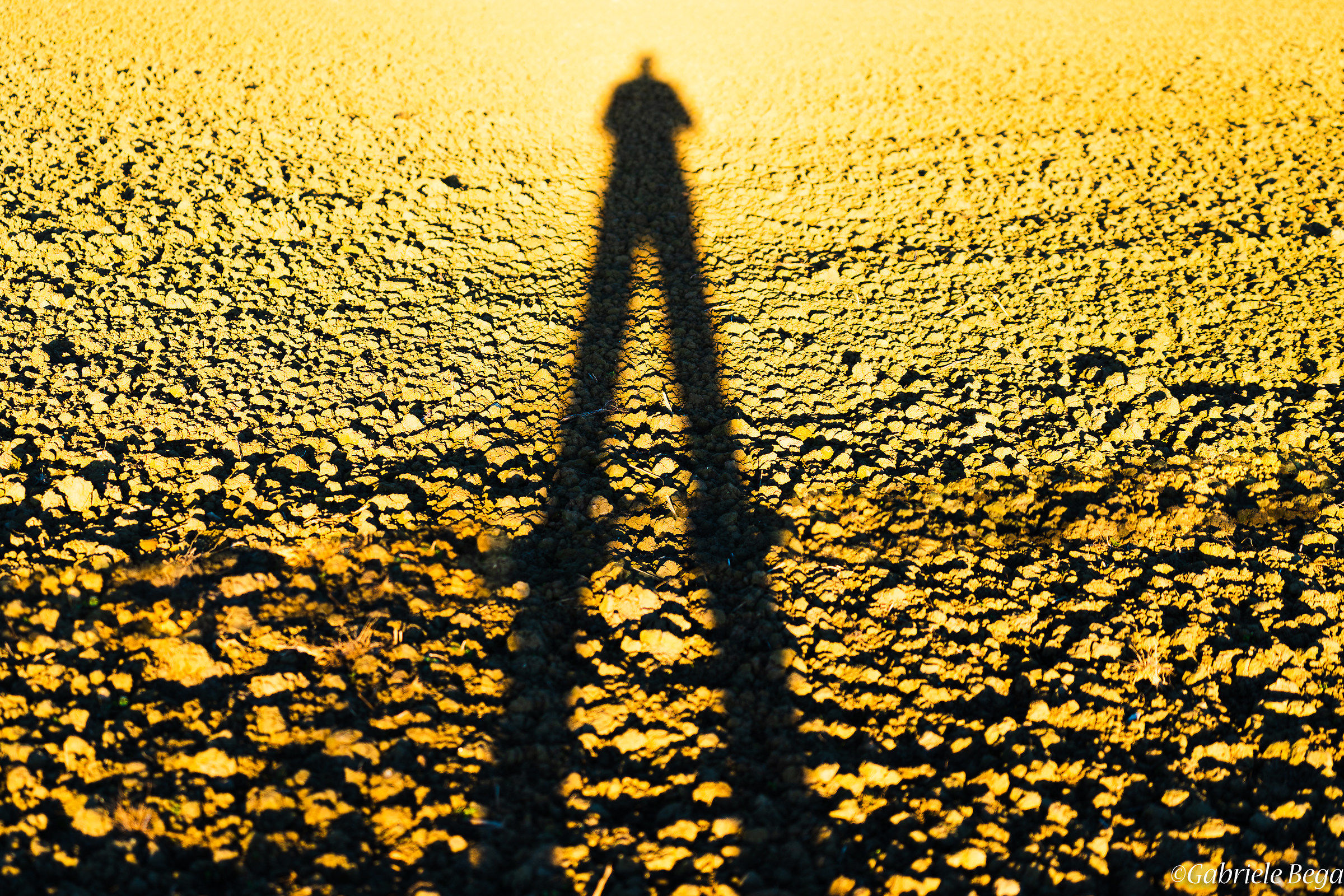 The long shadow of Man on Earth