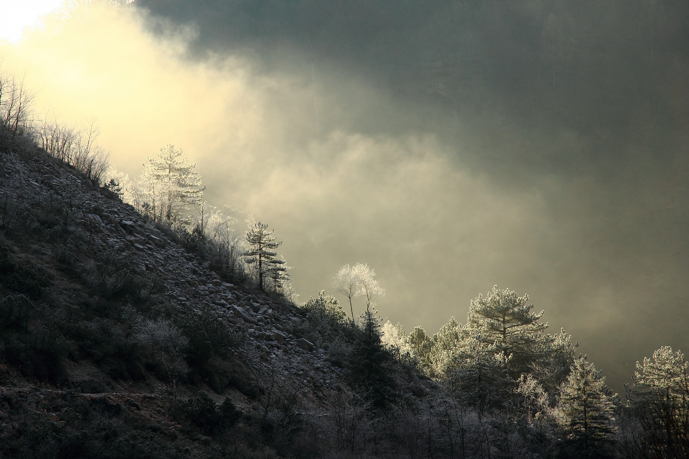 Freddo autunno, ma sta sorgendo il sole