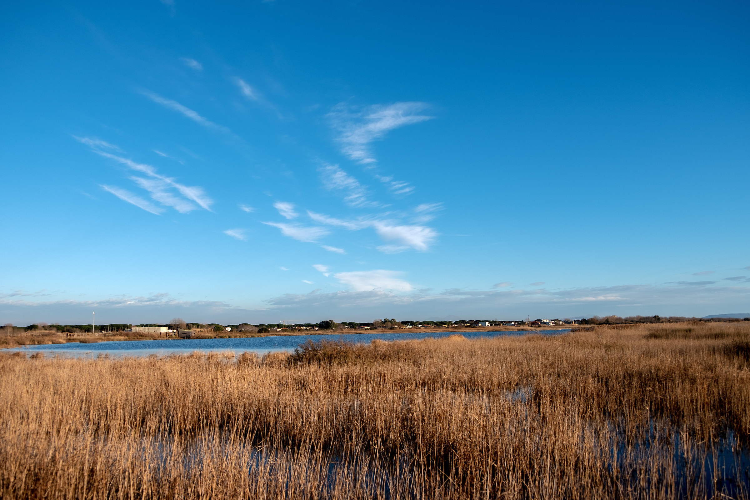 Oasi Naturale dei Variconi