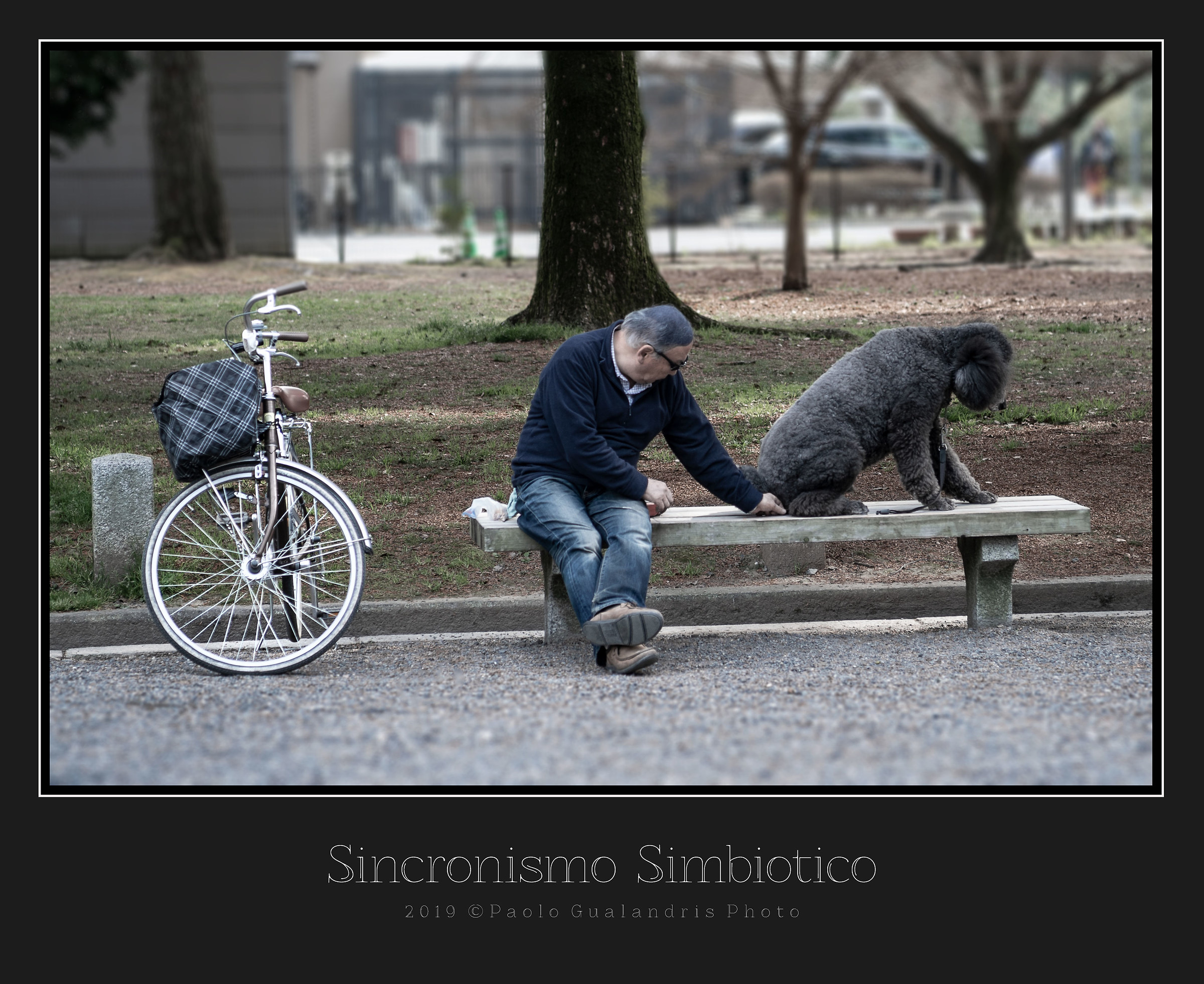 Sincronismo Simbiotico