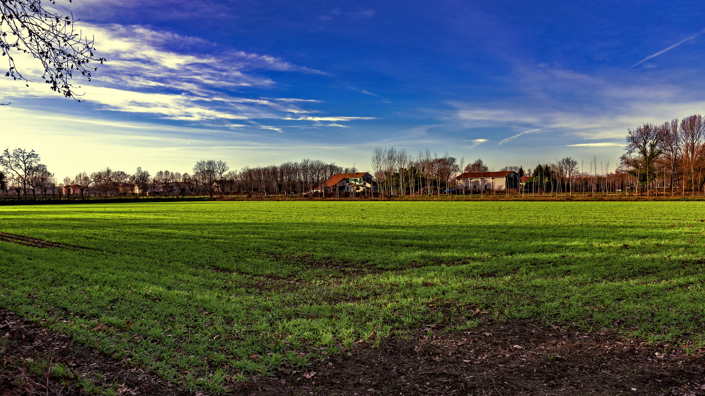 The colors of Lomellina