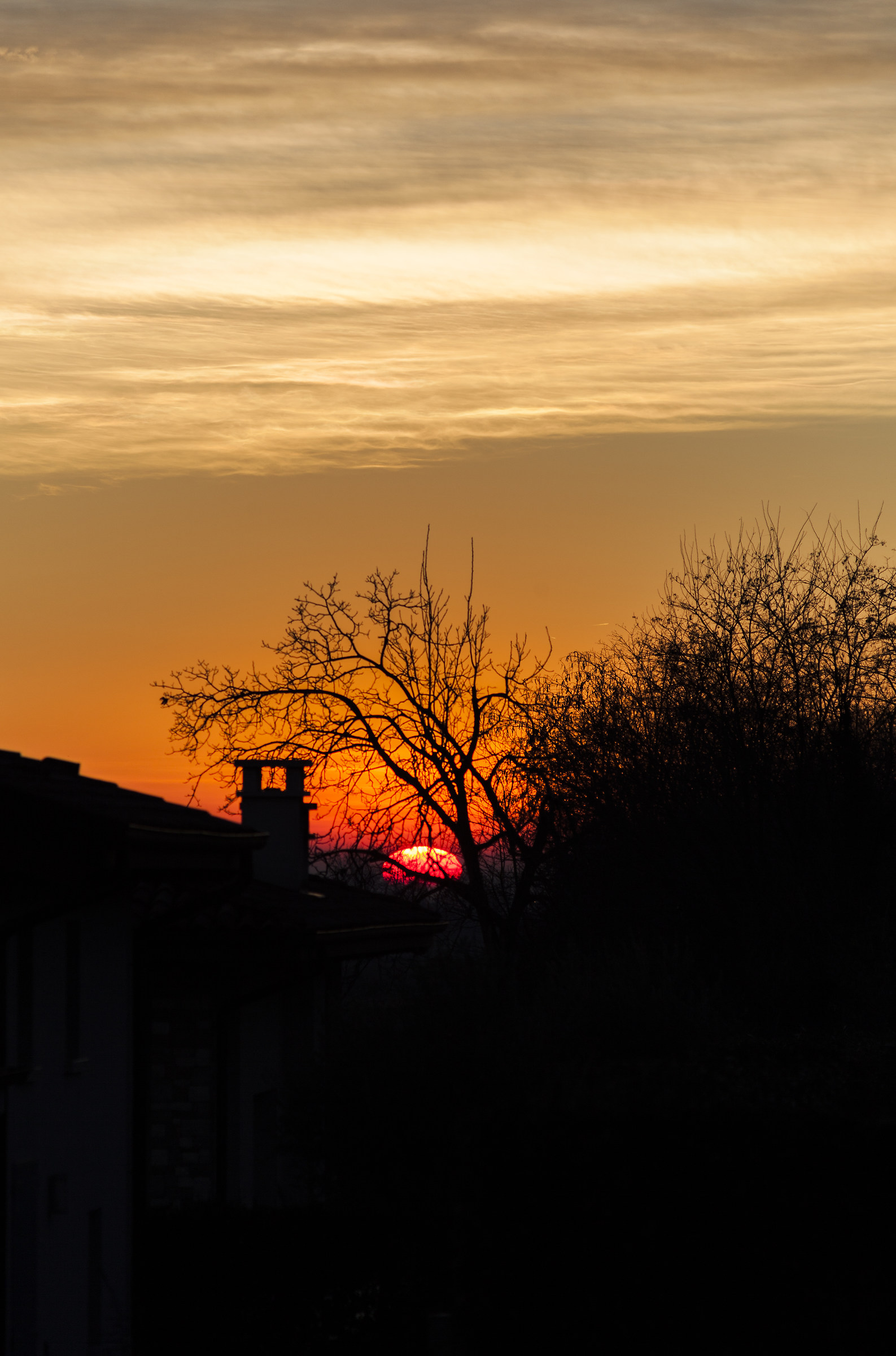 L'africa in Giardino