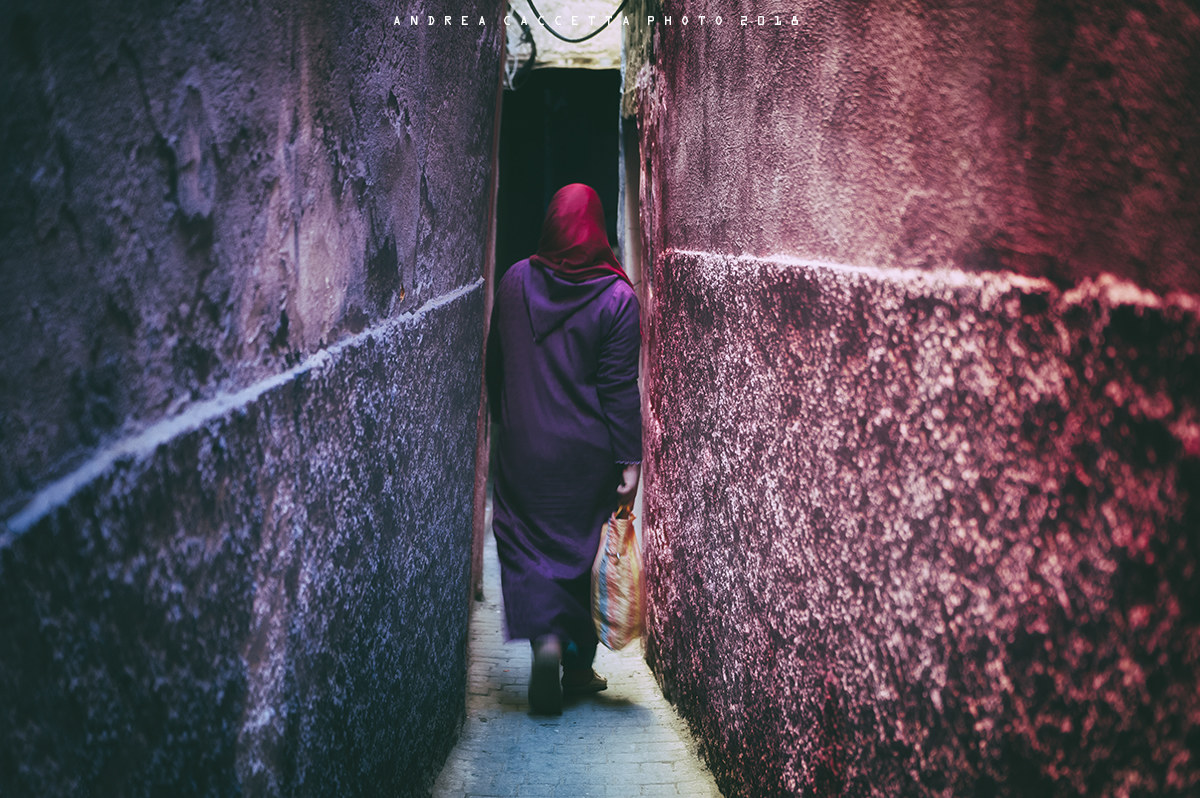 In the alleys of Fes