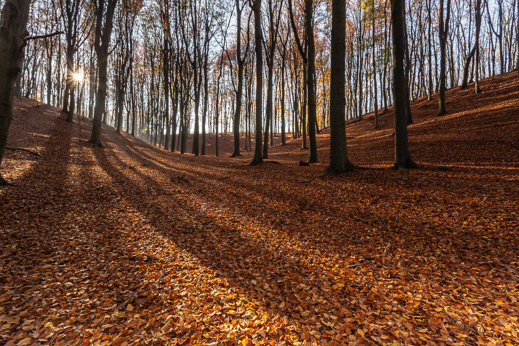 Wijngaardberg, Belgio