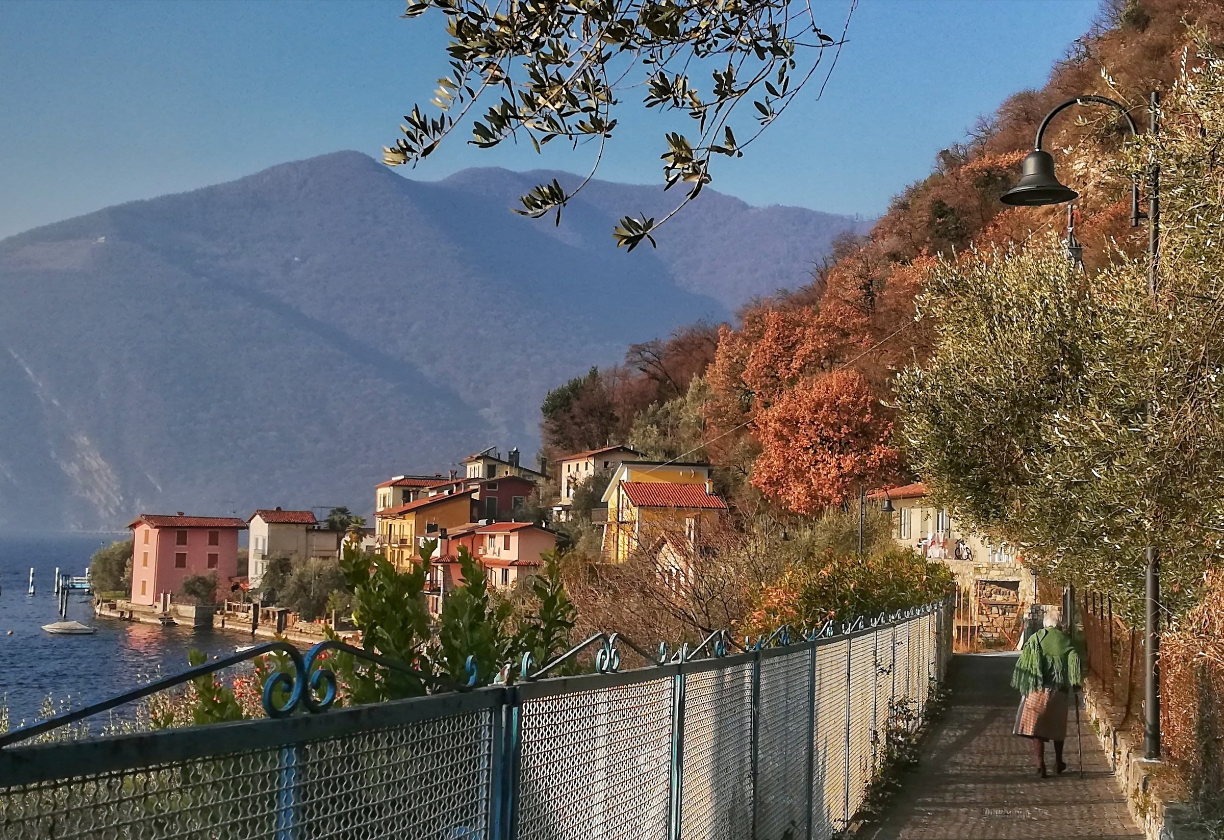 Thoughts of a morning