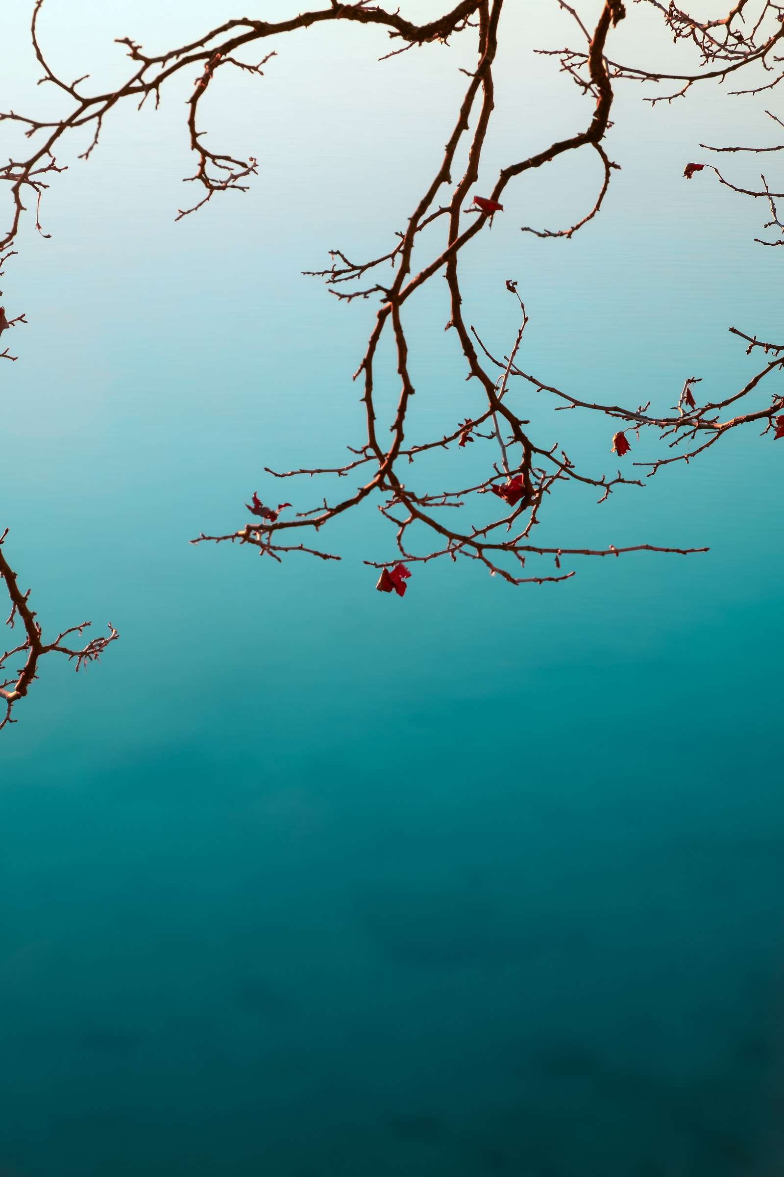 Quel ramo del lago (non) di Como