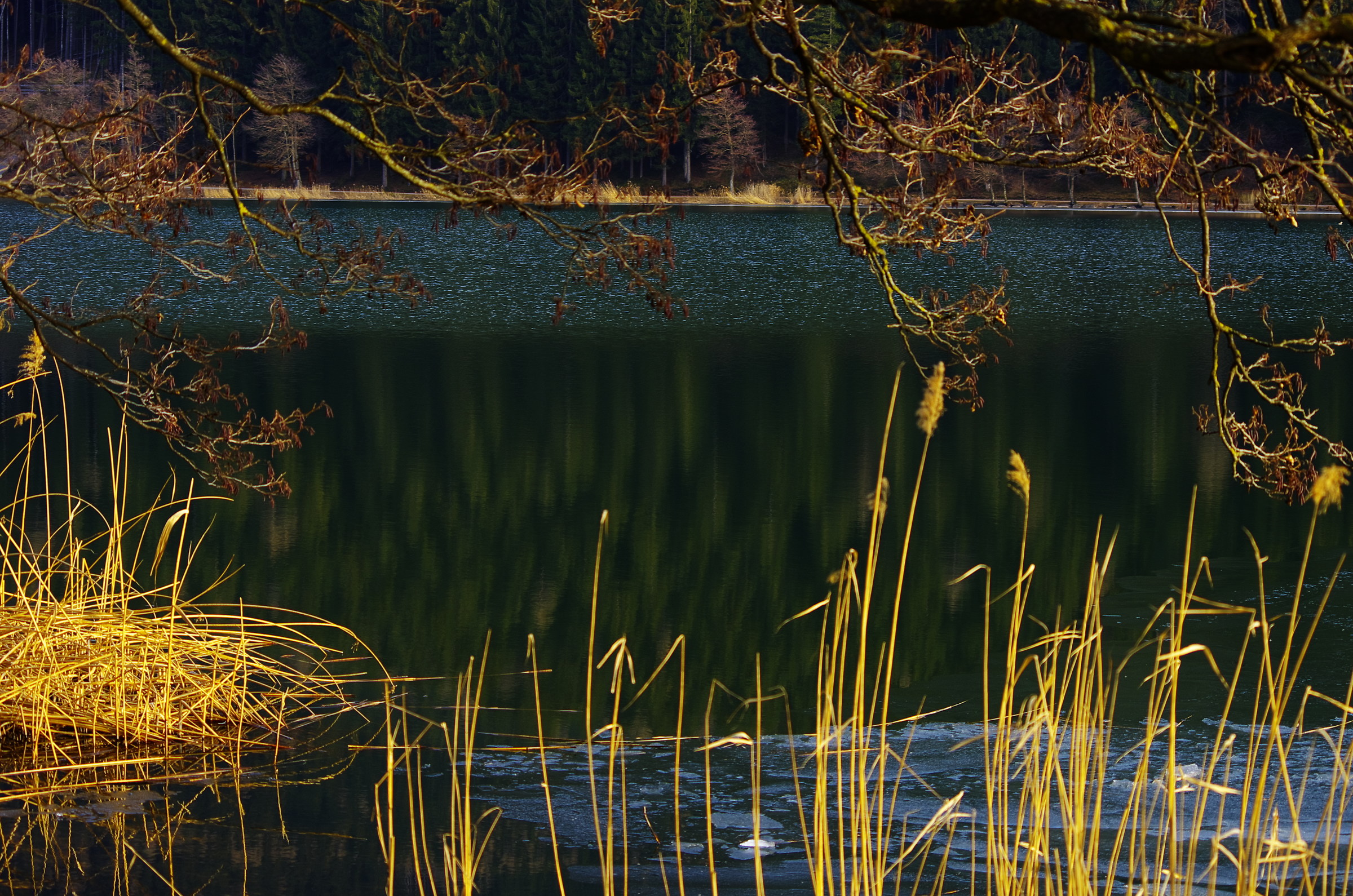 Baselga di Piné Lago di Serraia