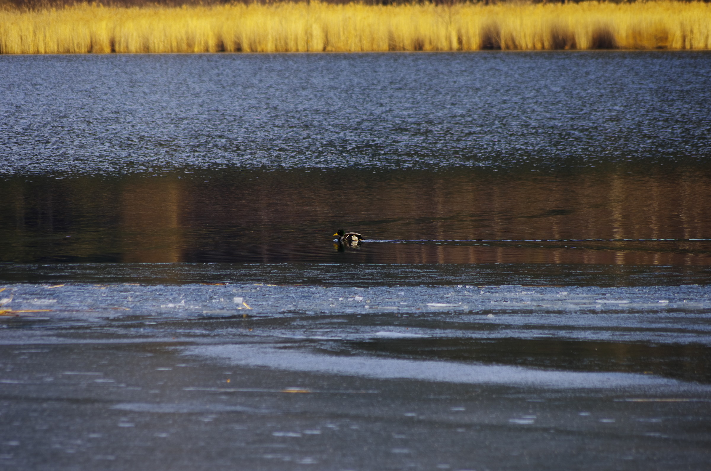 Baselga di Piné Lago di Serraia