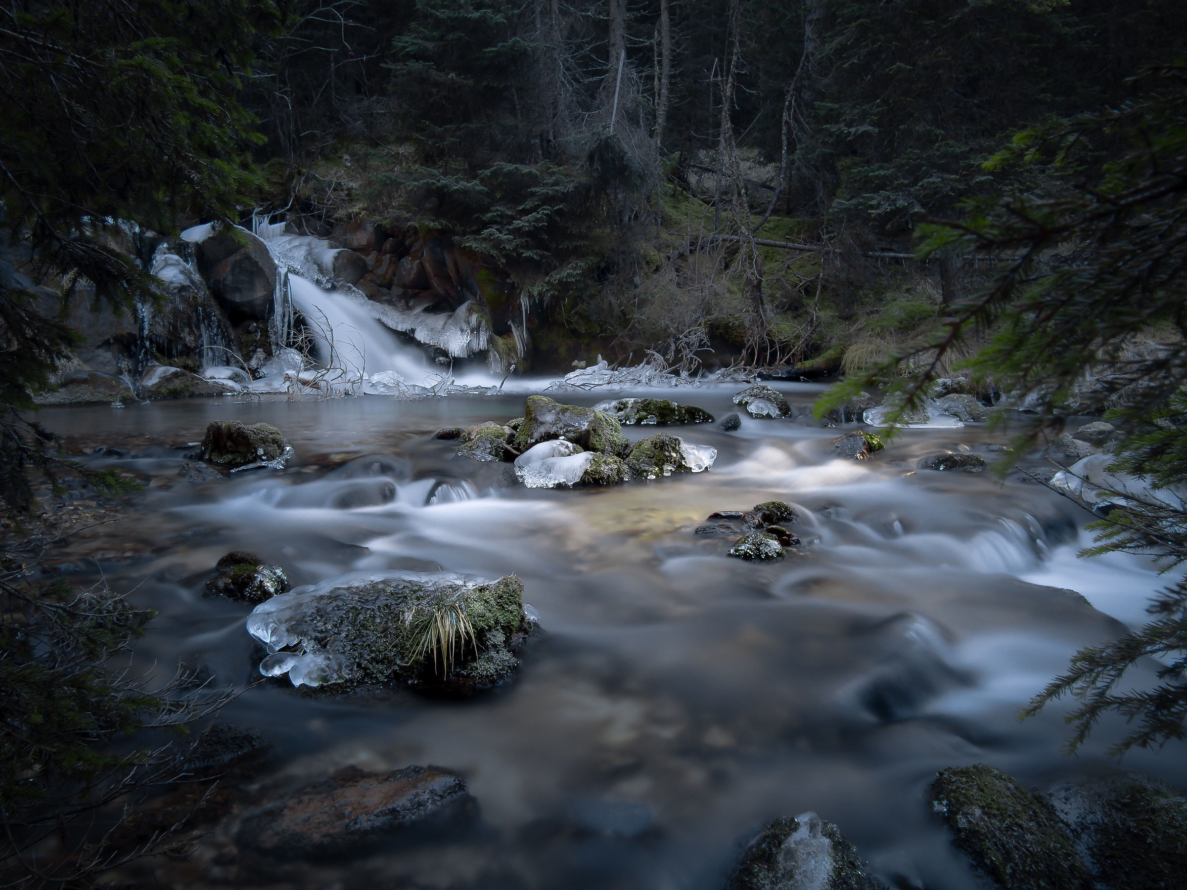 Torrent Travignolo-Val Venegia