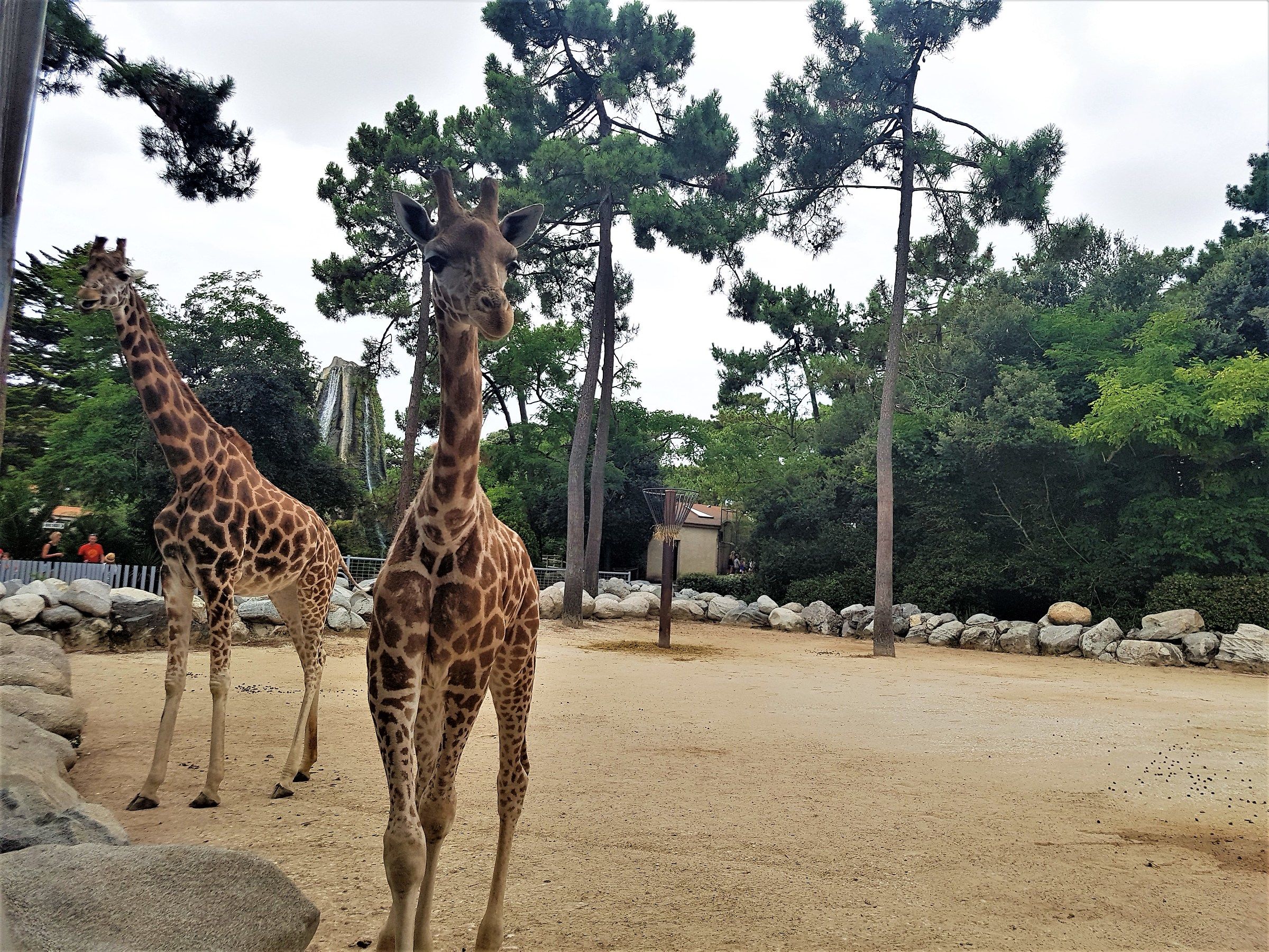 La Palmyre Zoo