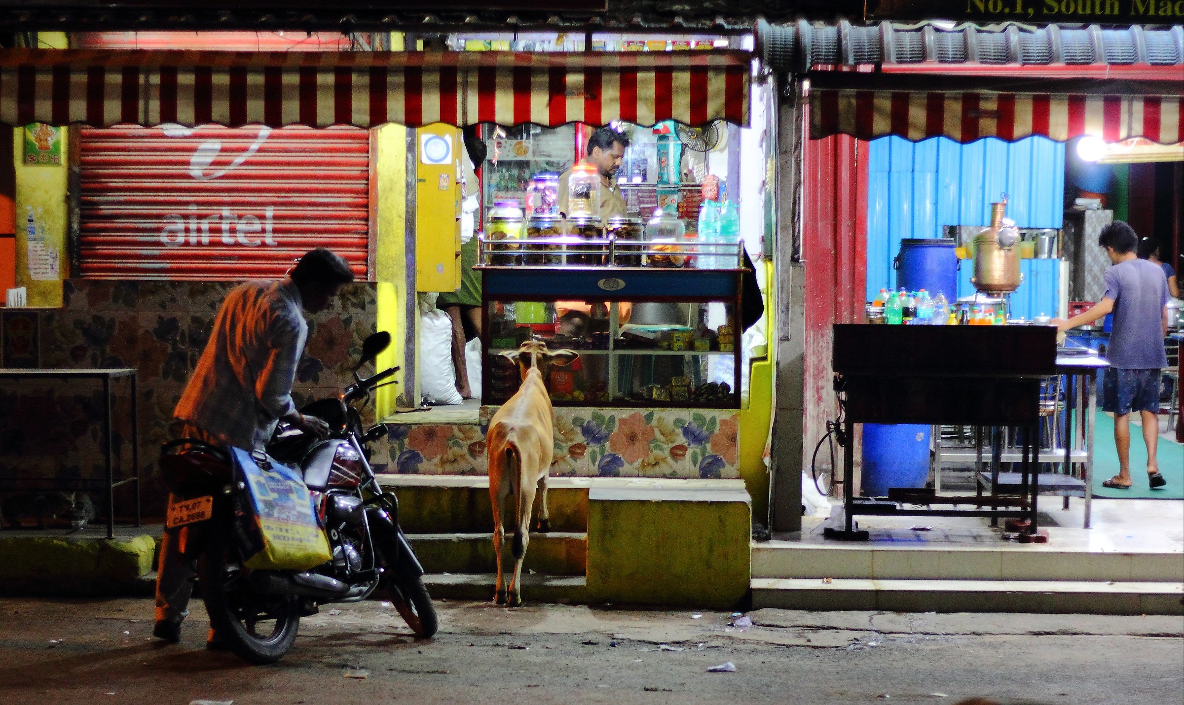 Do you have any hay?