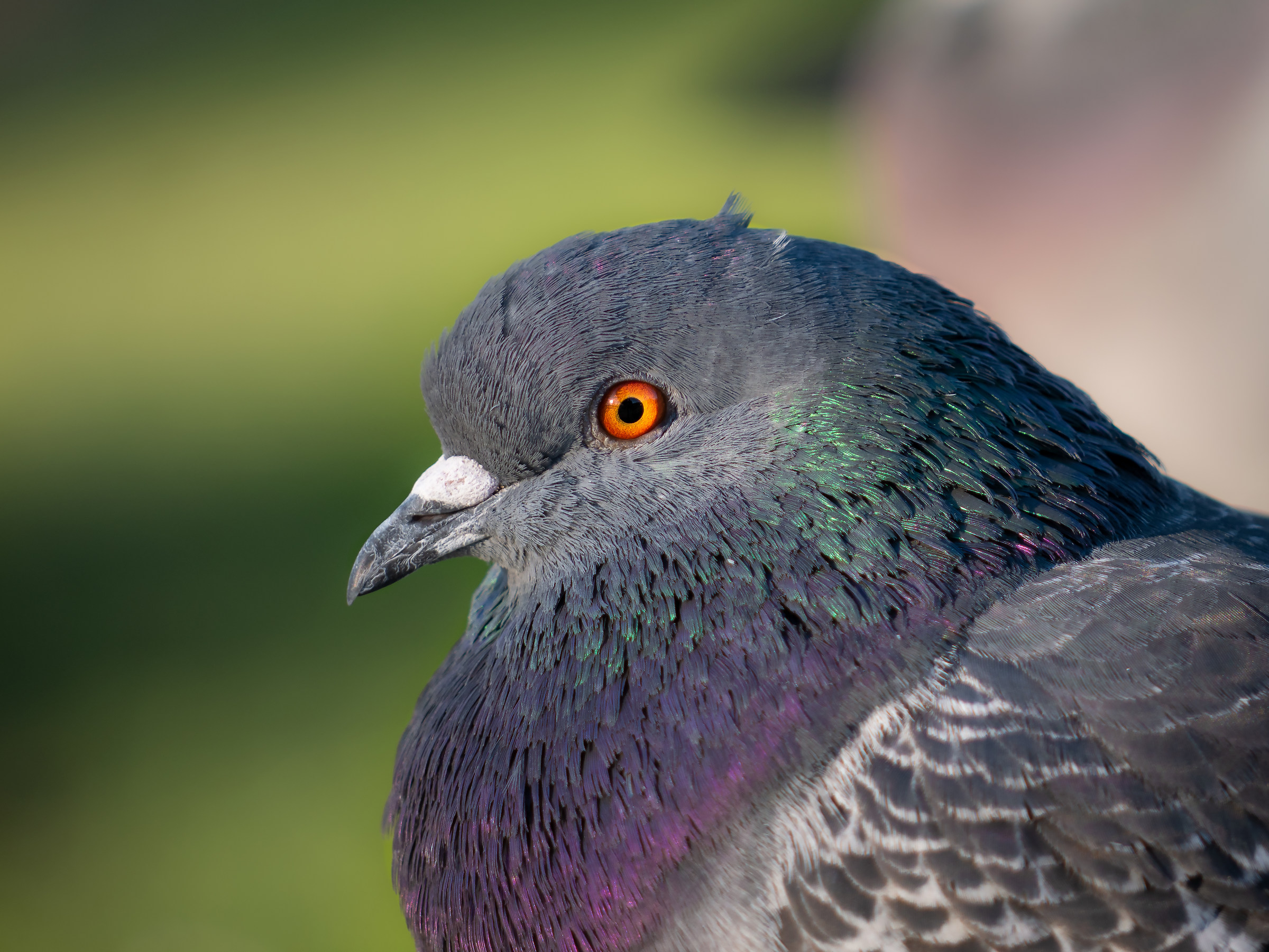 Sto antipatico a tutti ??