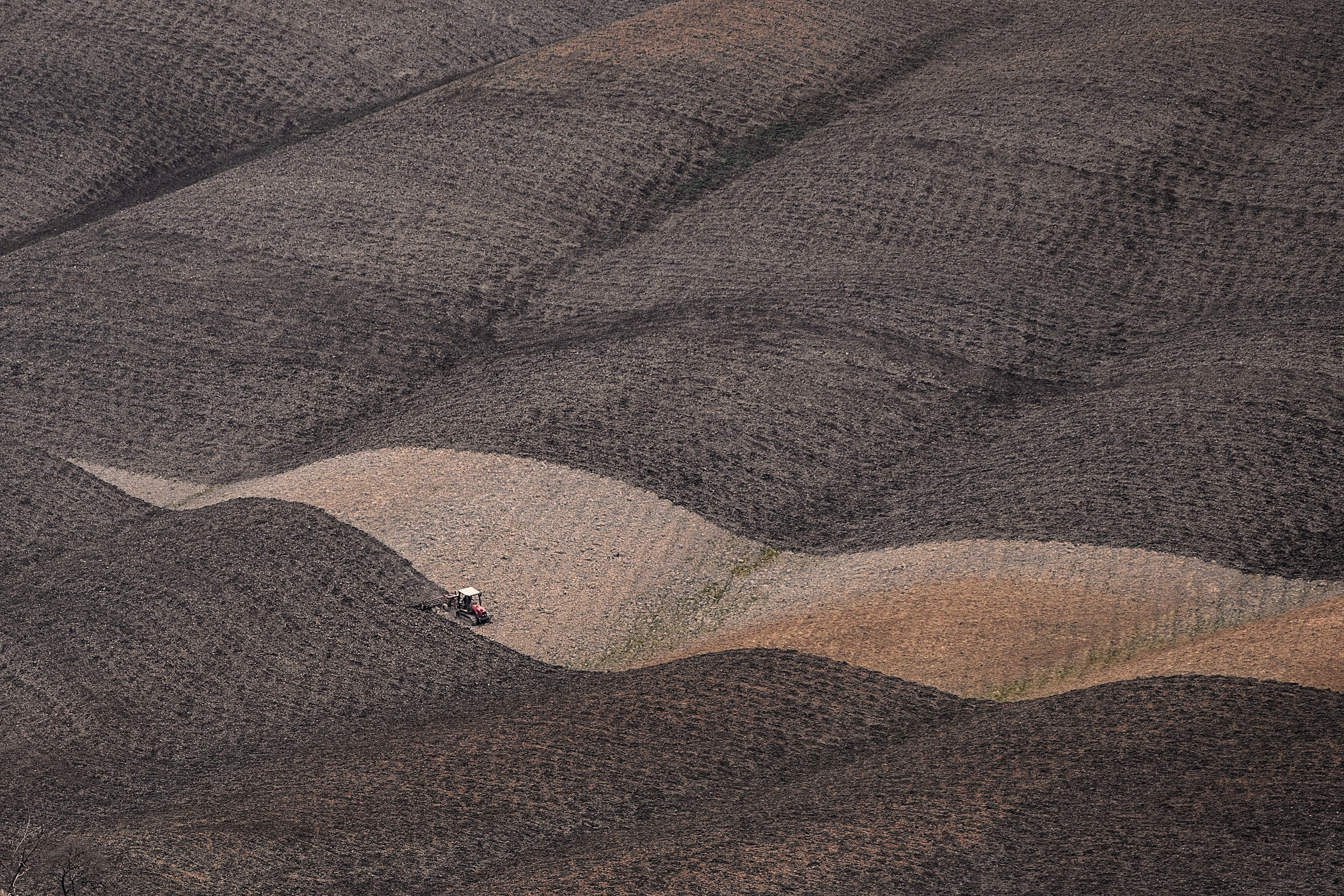 The farmer to the piece