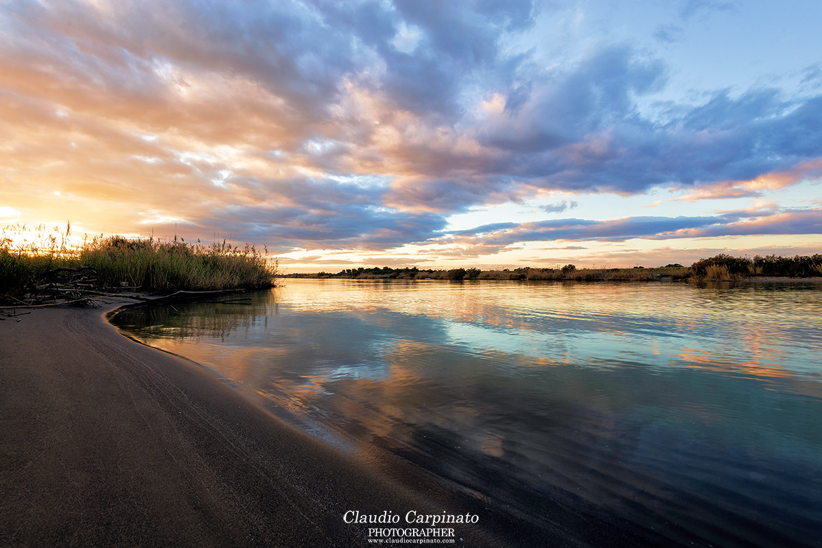 Natural Reserve Oasis of Simeto