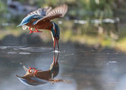 [Fotografia]