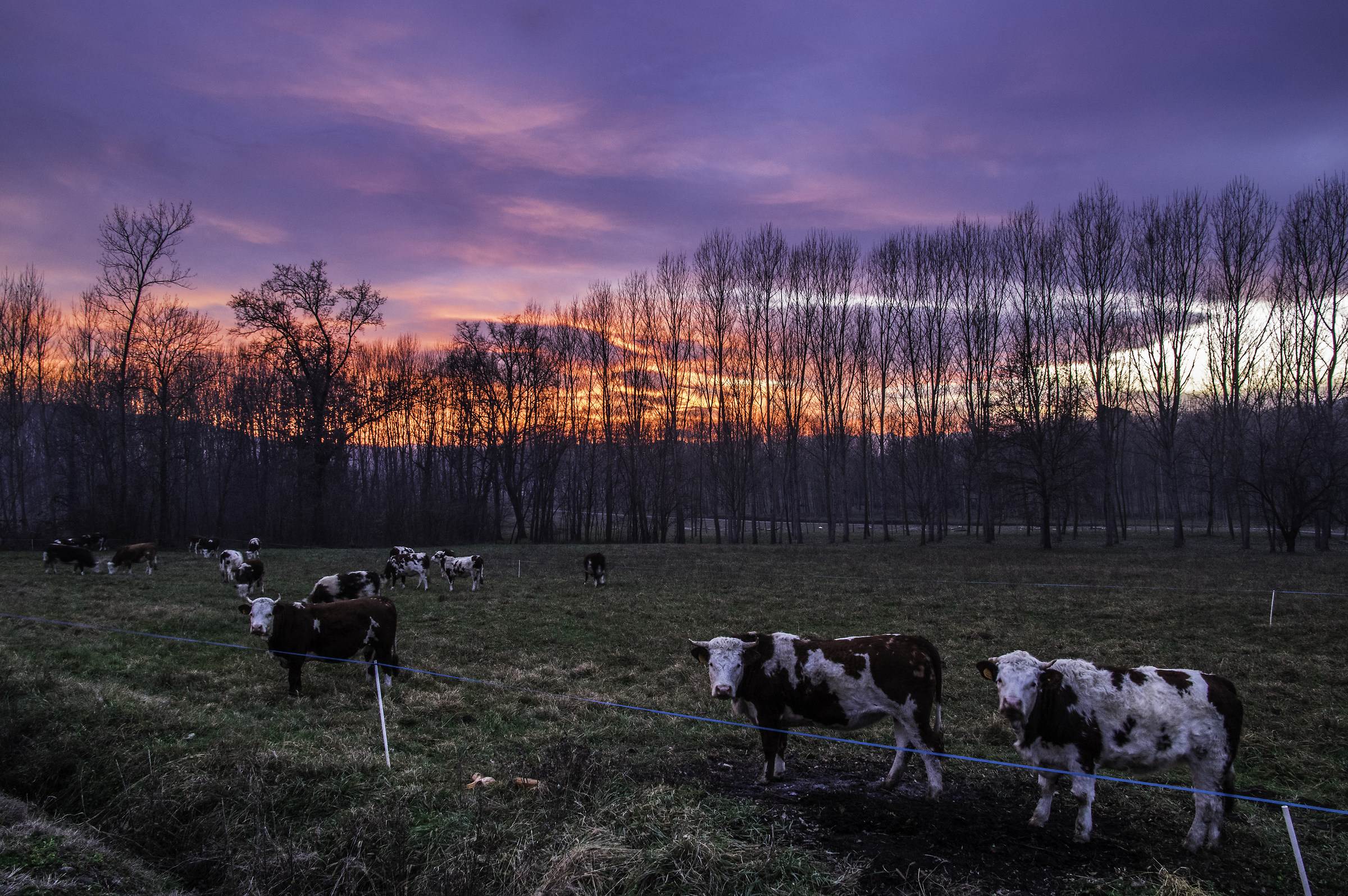 Tramonto nel Canavese