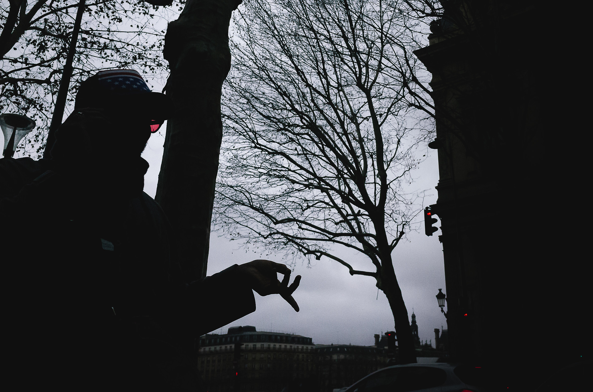 Étoiles et microstripes