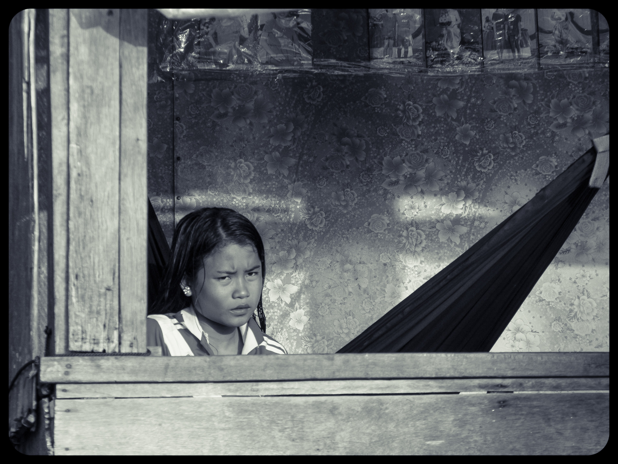 Sguardo dalla finestra