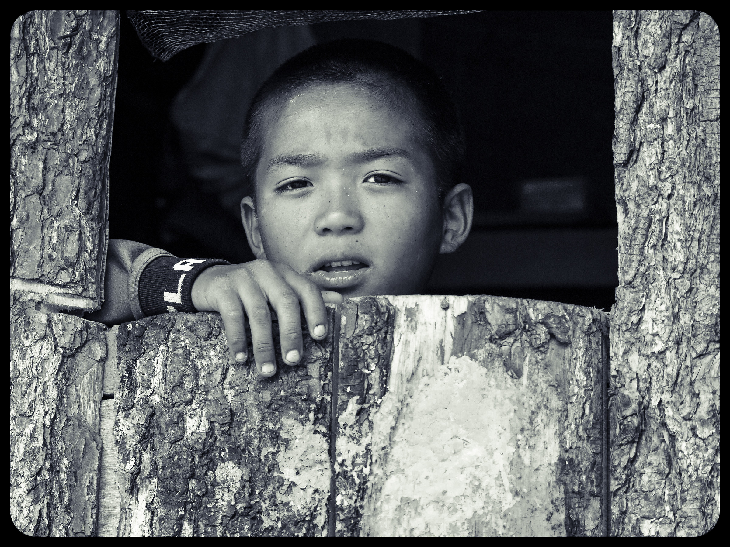 Sguardo dalla finestra