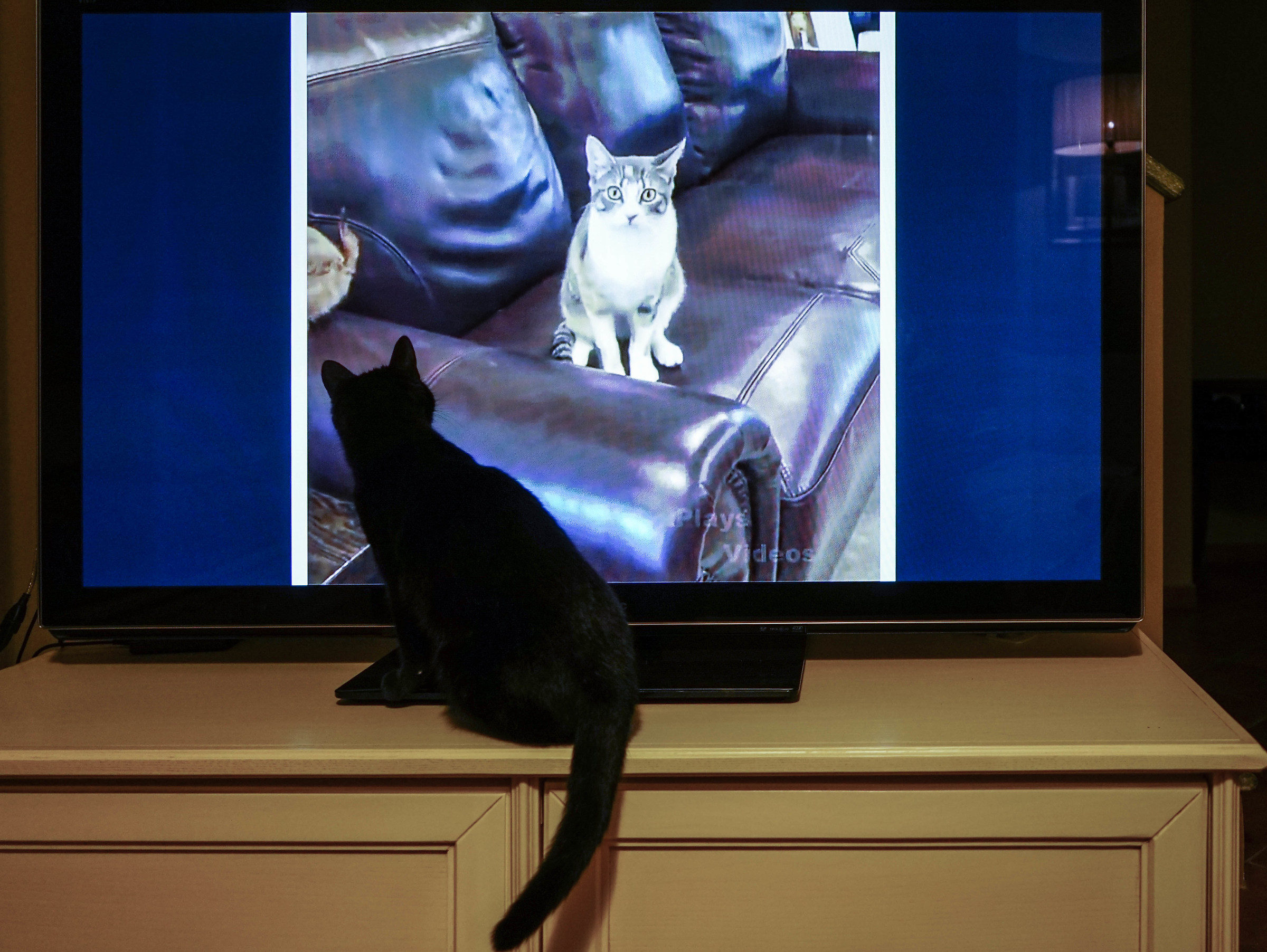 Universi Paralleli (Fringe)