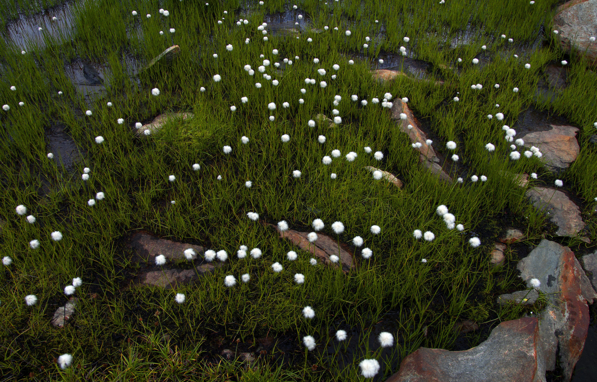 Shower heads at the Lakes Miserino