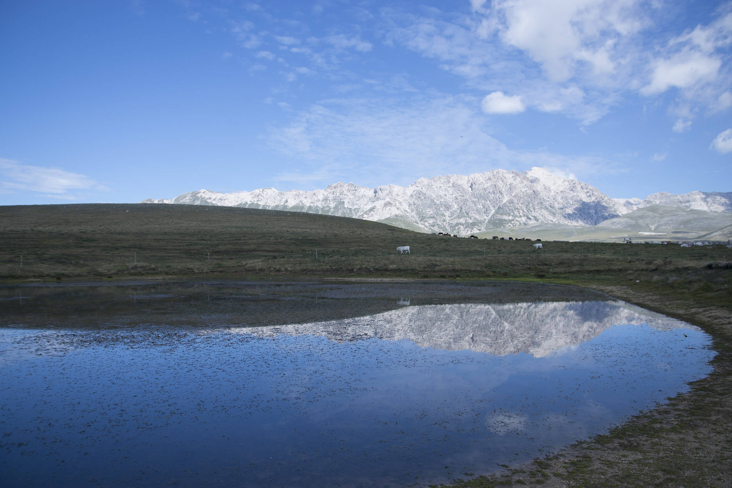 Pasture and contrasts at the Gran Sasso d'italia