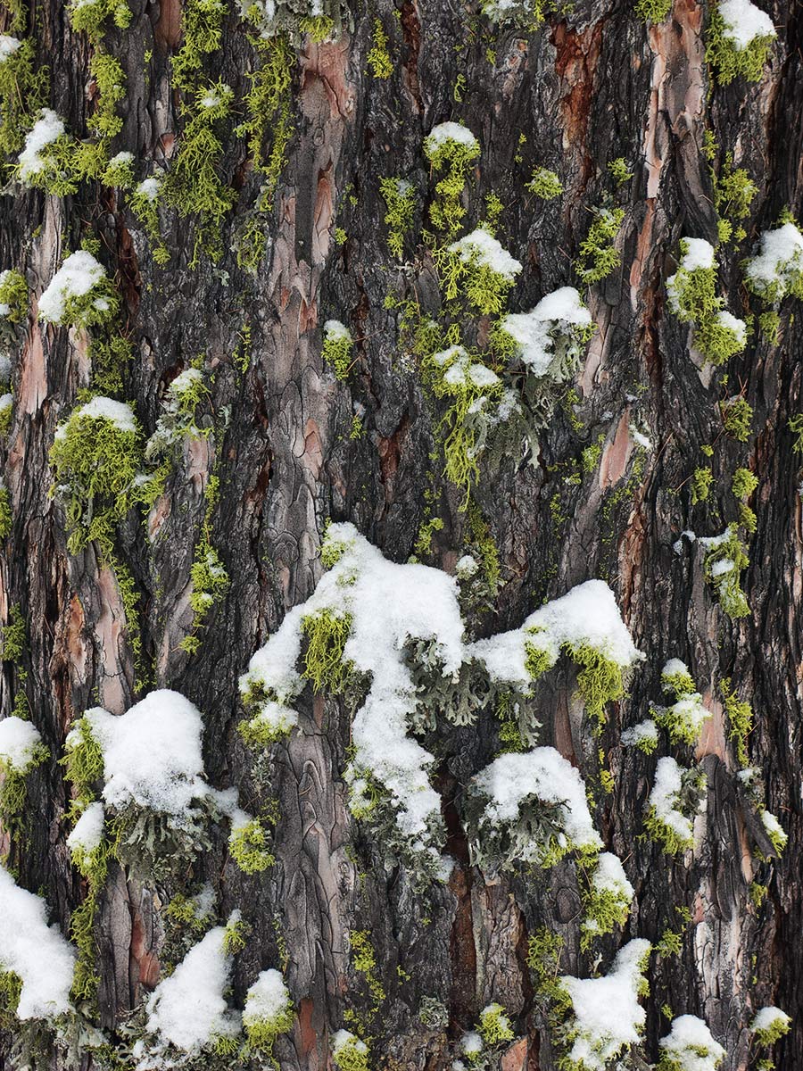 e' arrivato l'inverno?!?