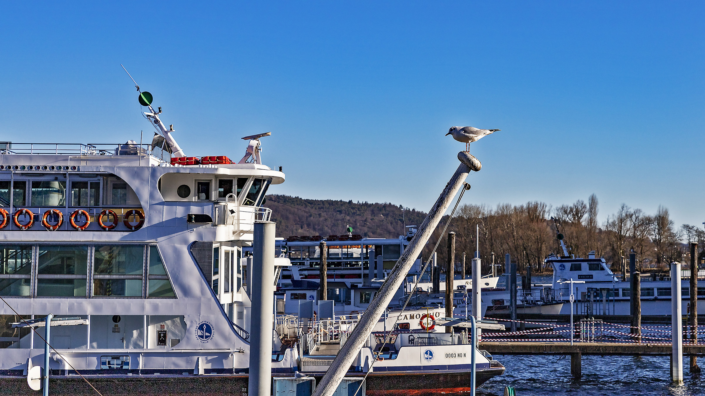 Small Lookout Lombarda