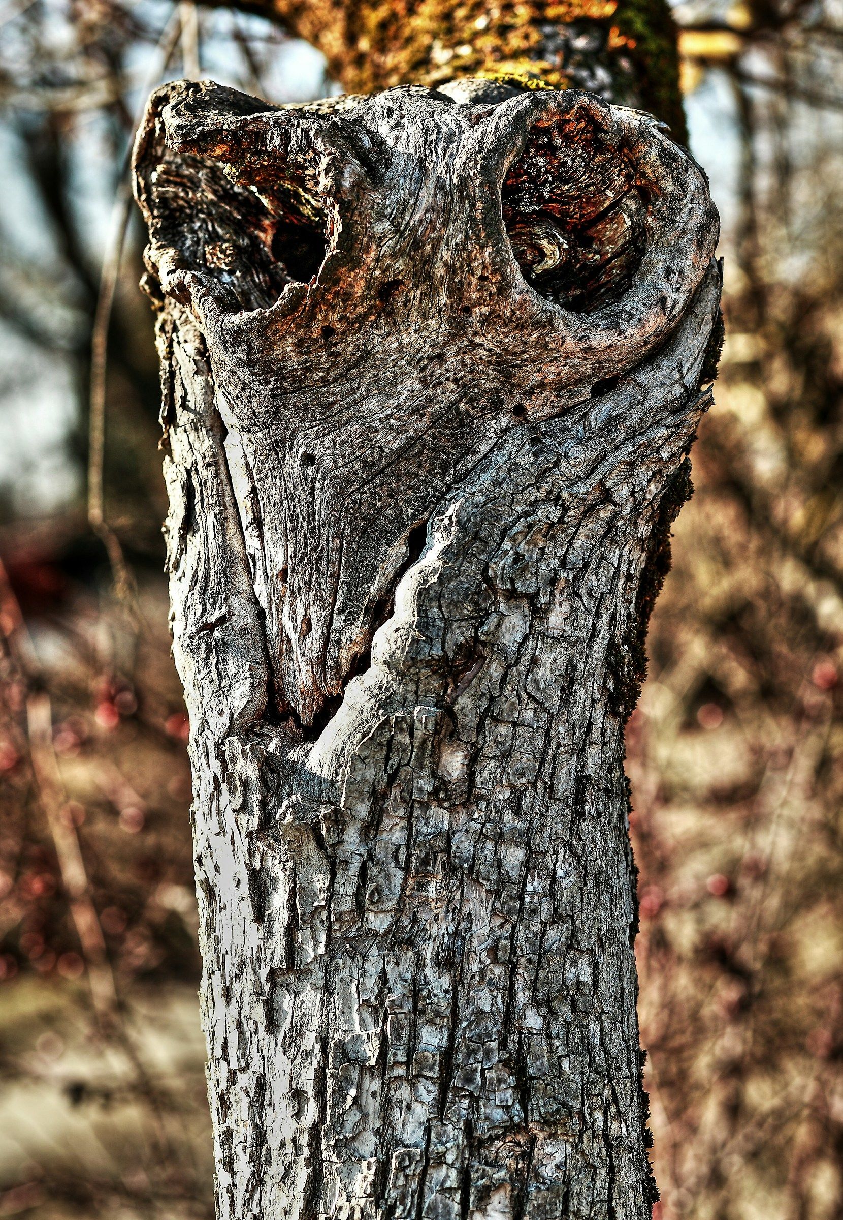 Space oddity dedicato a David Bowie