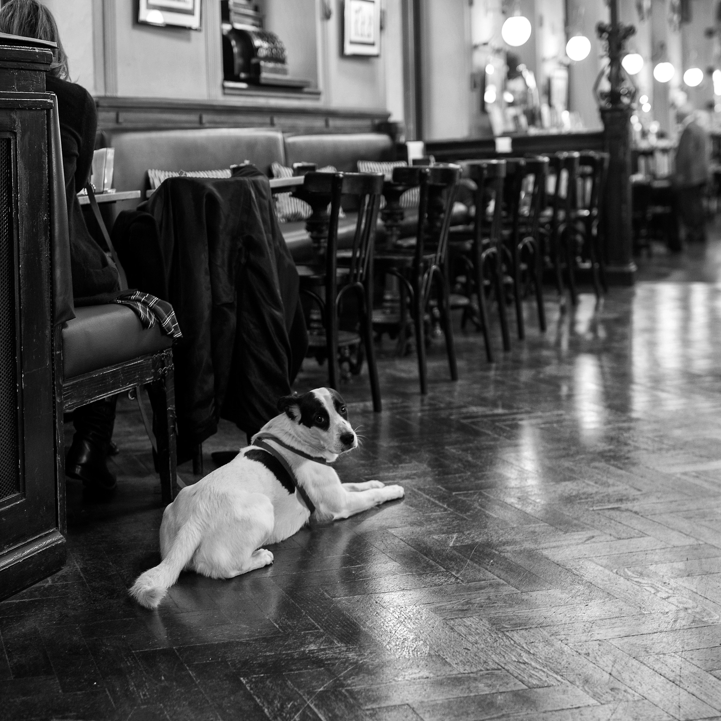 Caffe' San Marco - Trieste