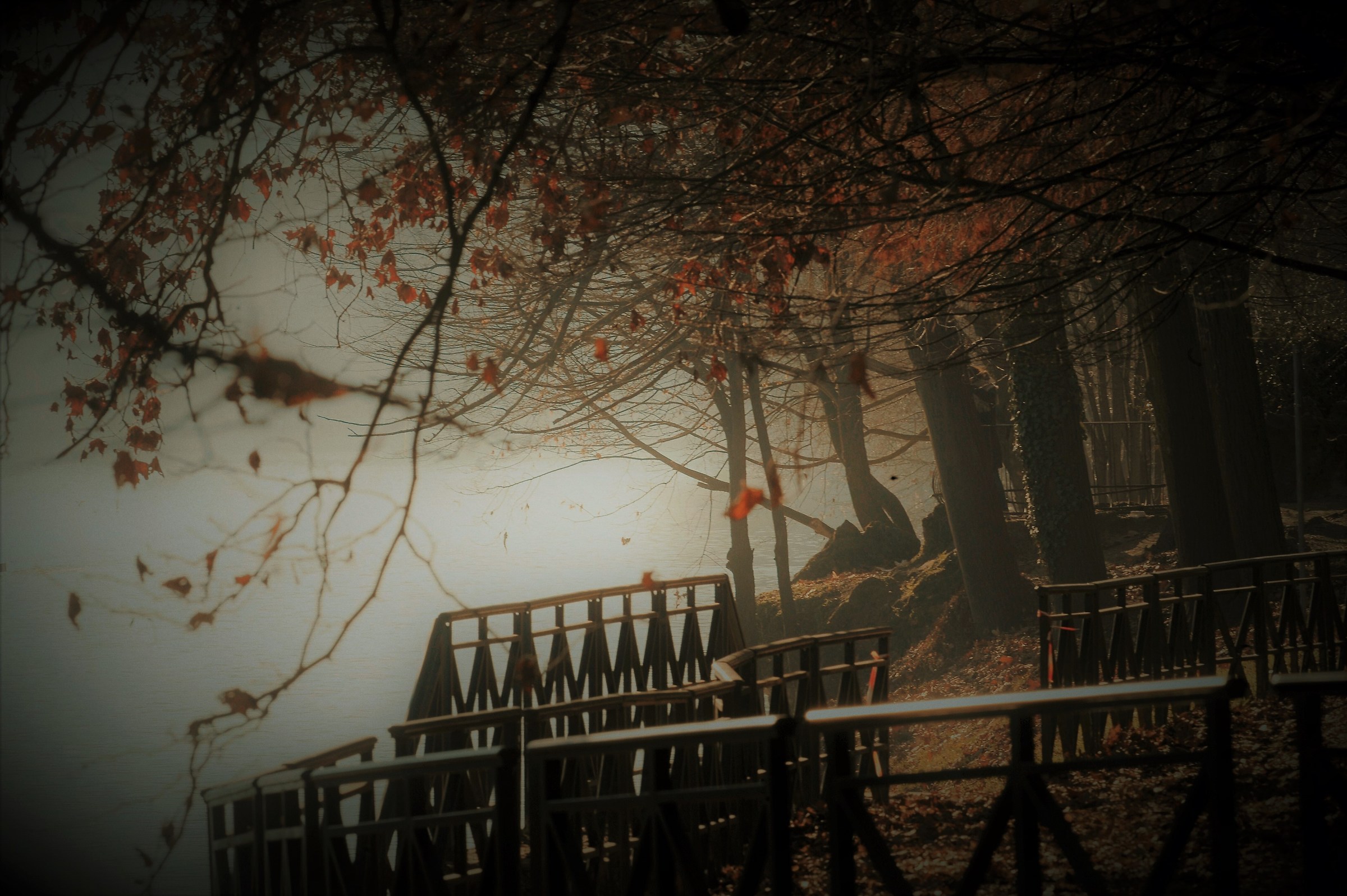 On the shore of the PO