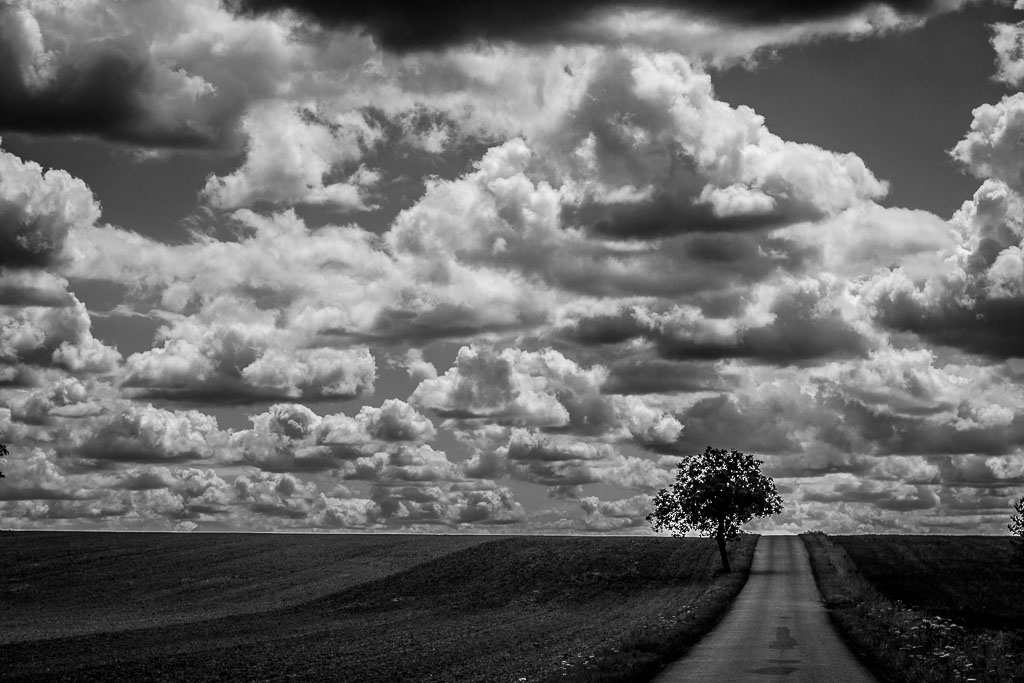 Lorena (in francese Lorraine, in tedesco Lothringen)