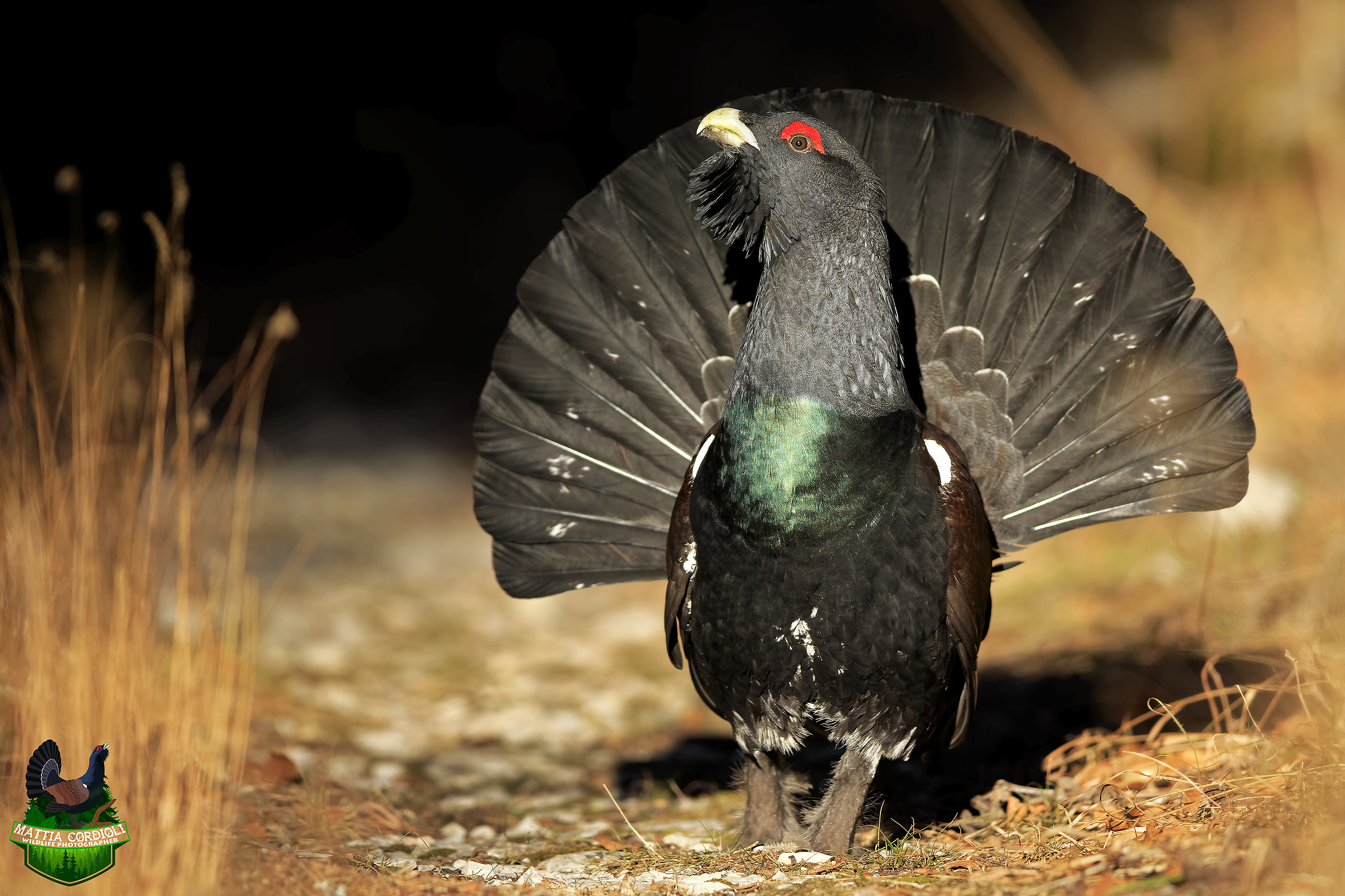 On the way to the Cedrone...