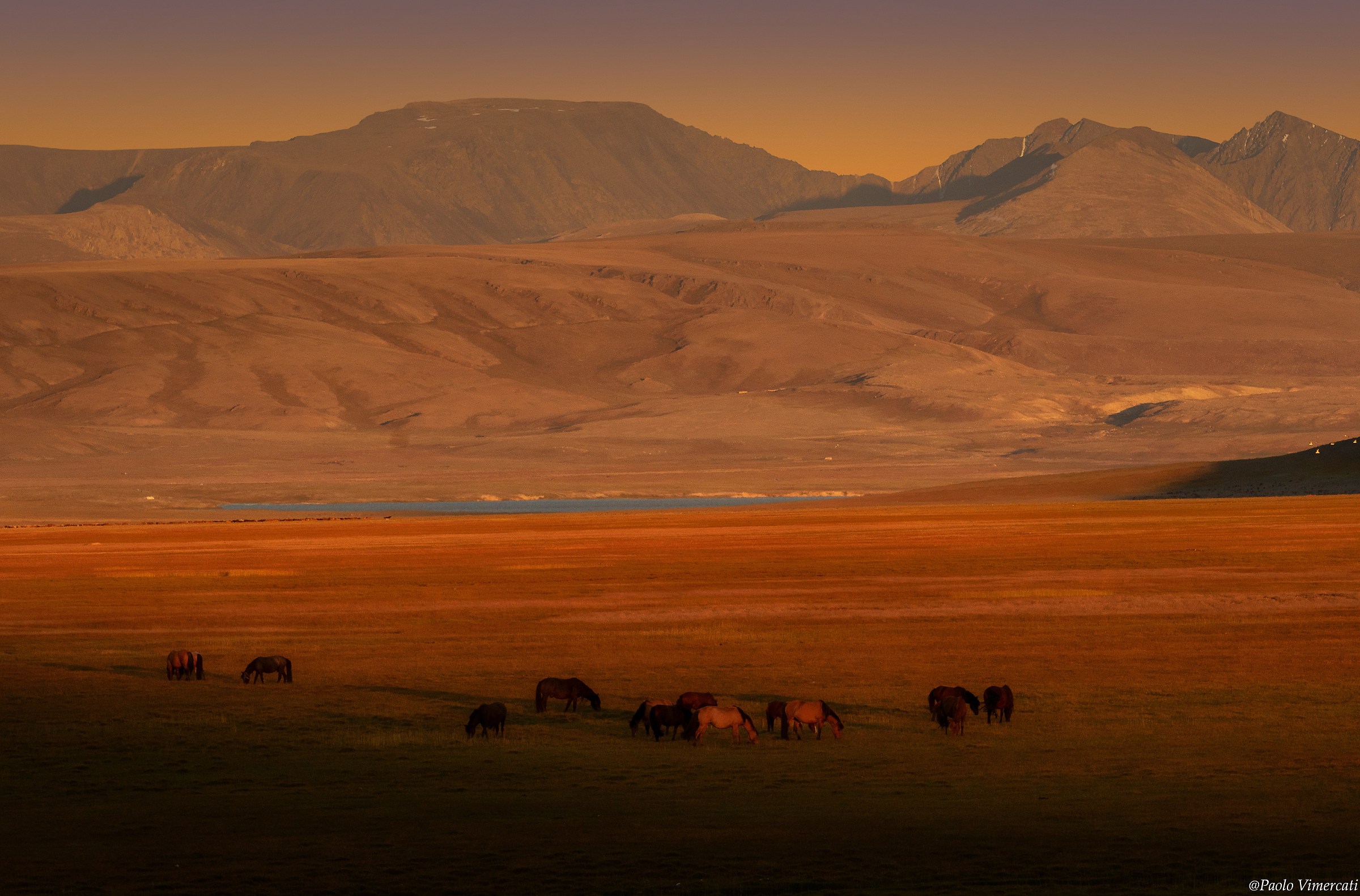 Mongolian Sunset