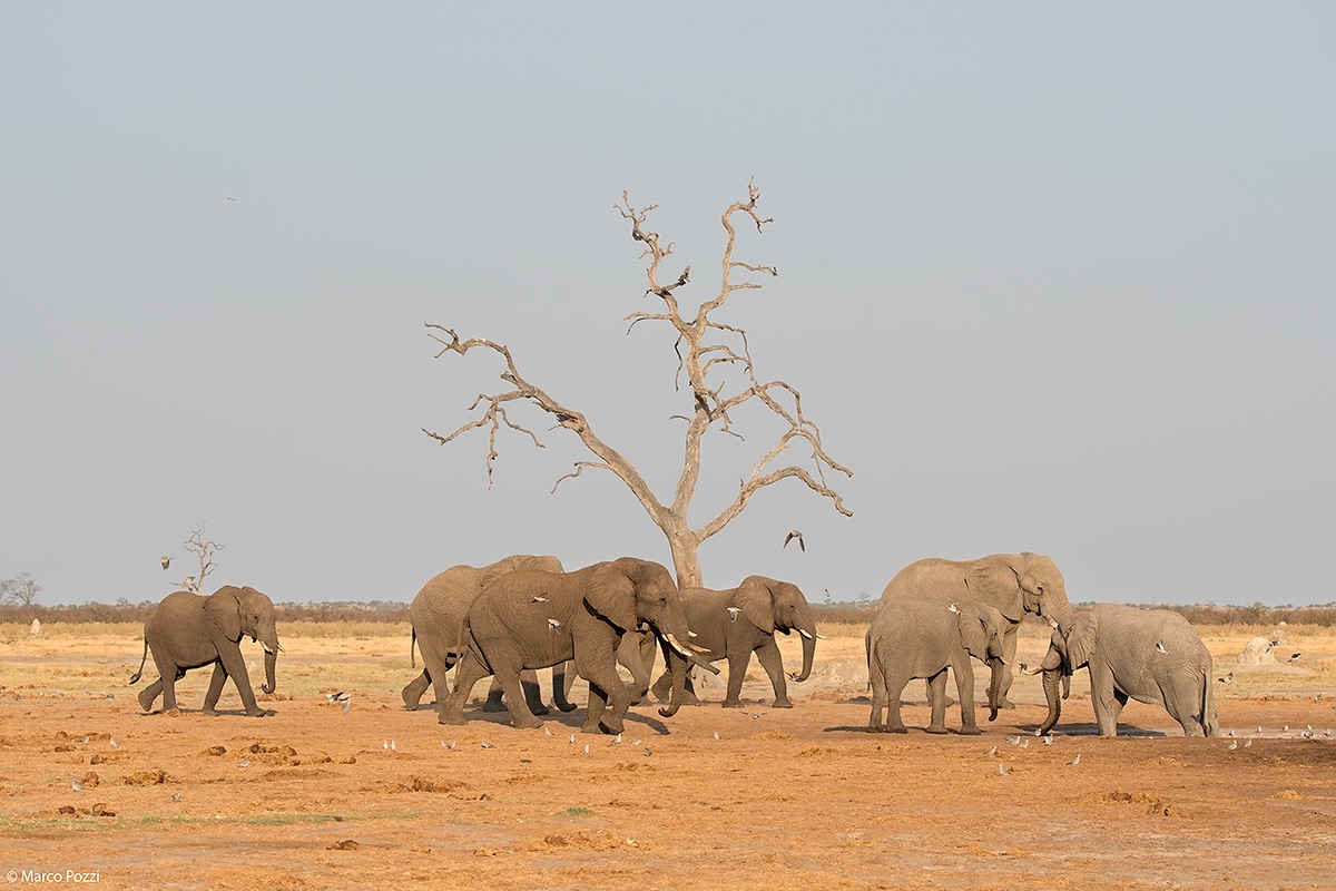 Everyone at the pool