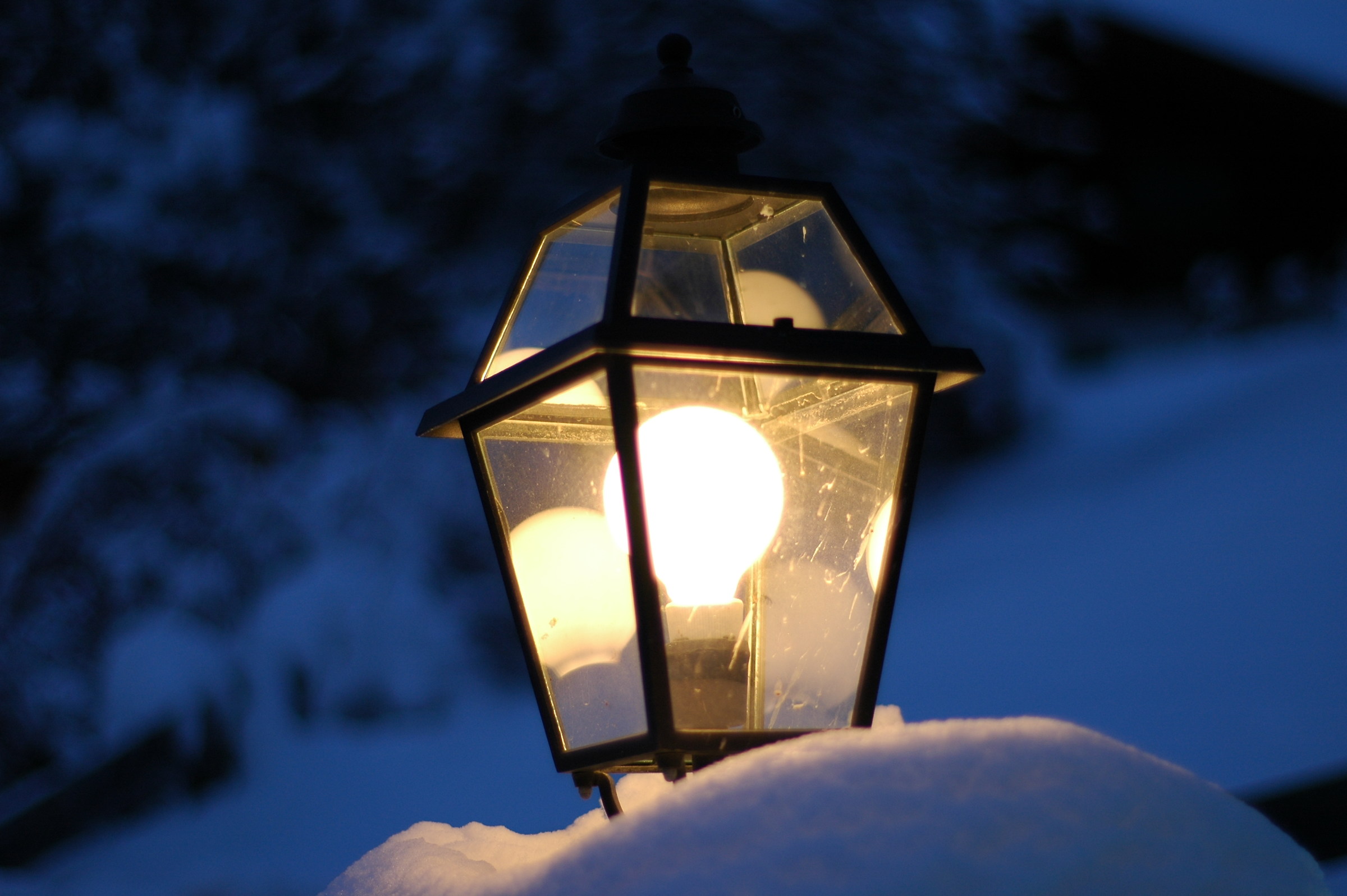 Lamppost under the snow....