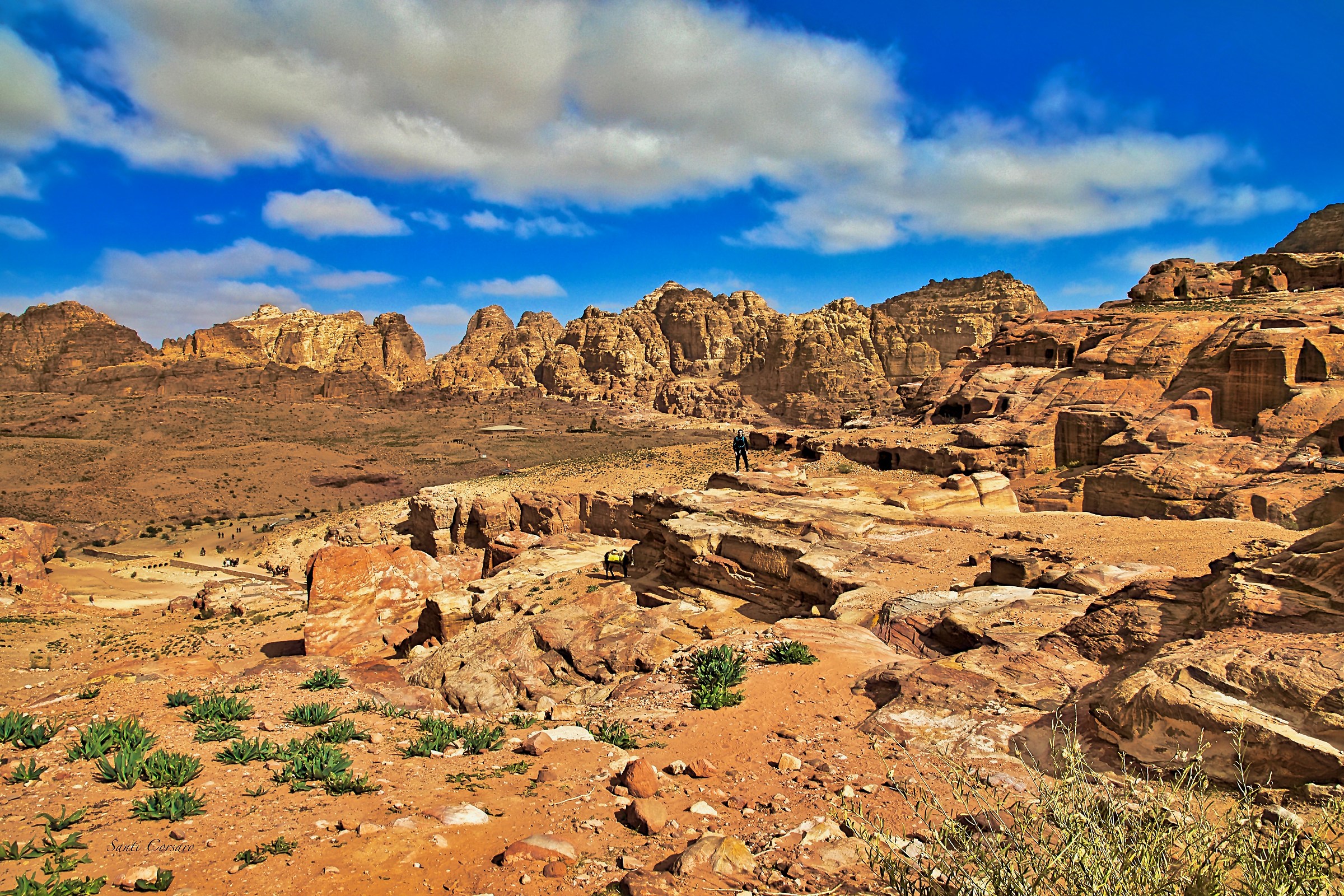 Prospettiva sul canyon di Petra