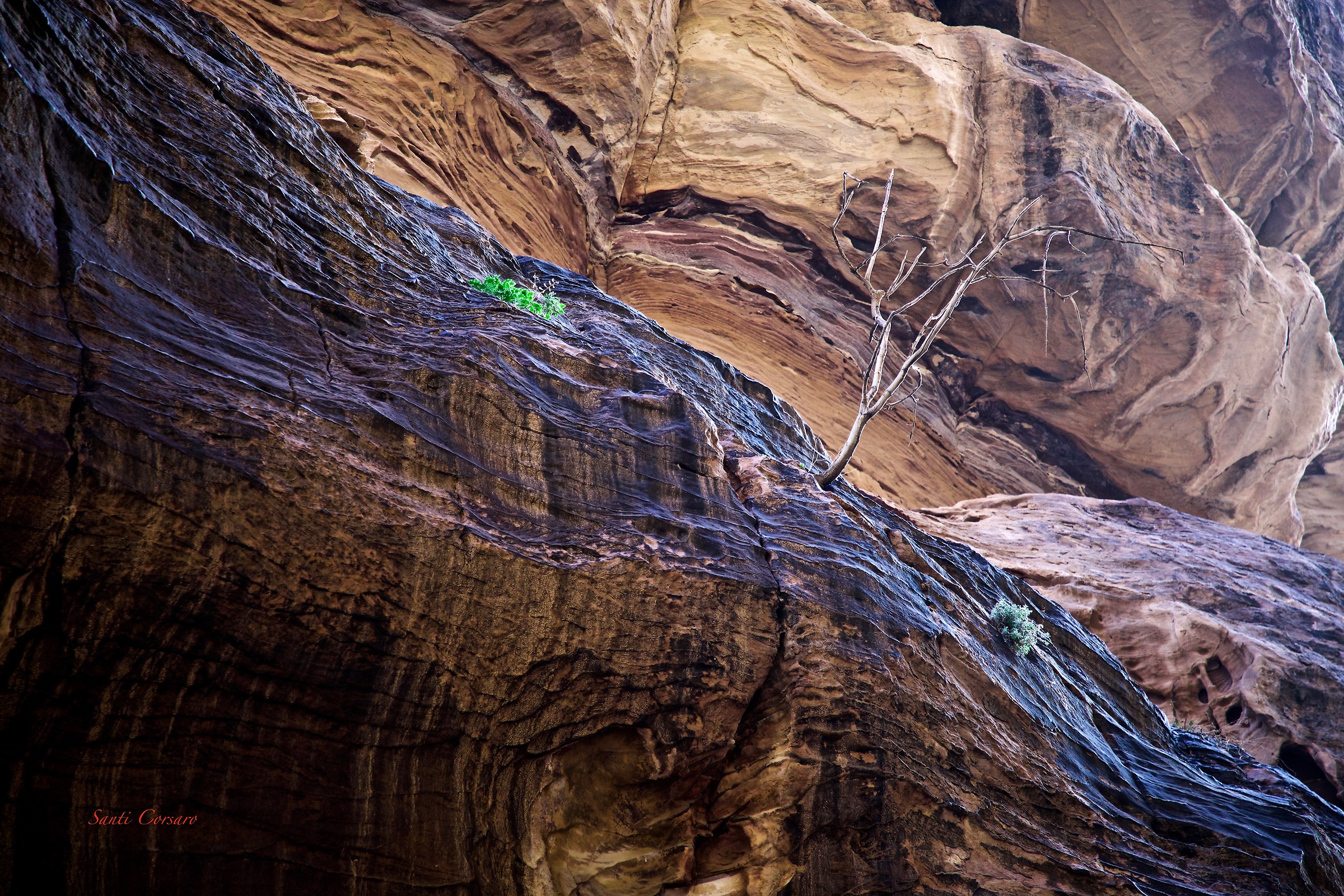 Alba sul Sik di Petra
