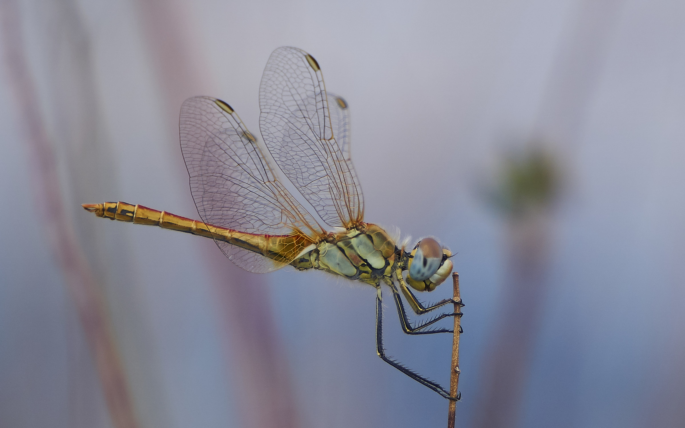 In and out of the valley