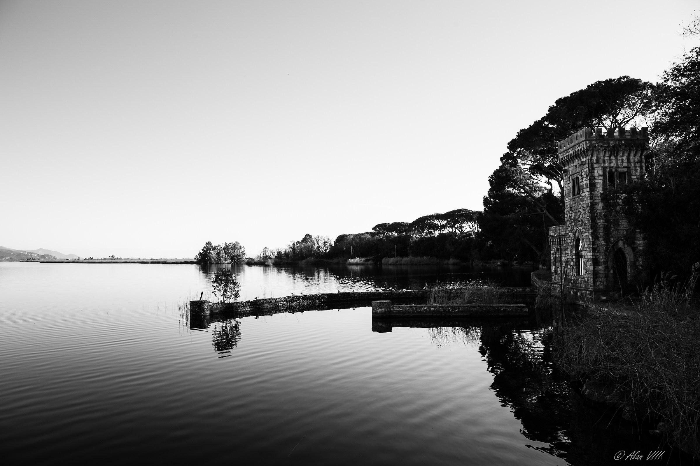 Villa Orlando e l'omaggio alla Torre del Lago