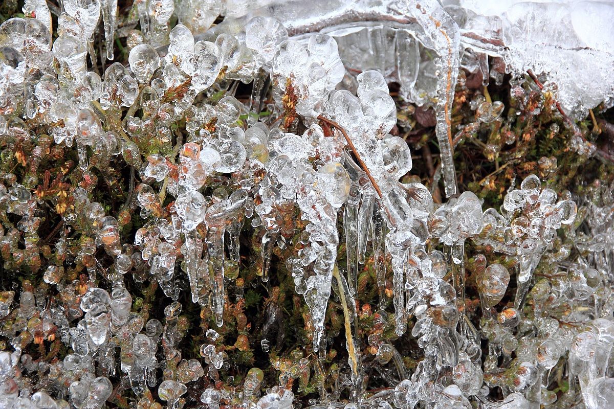 Giochi di ghiaccio 2