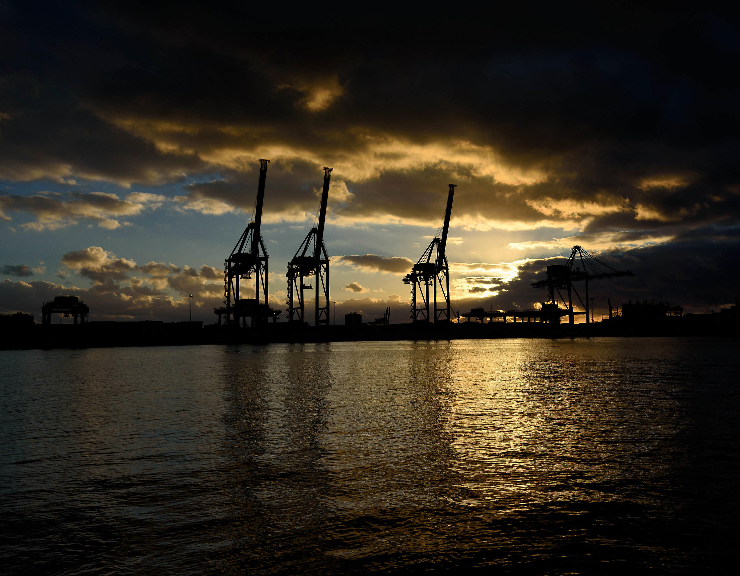 L'invasione degli ultracorpi