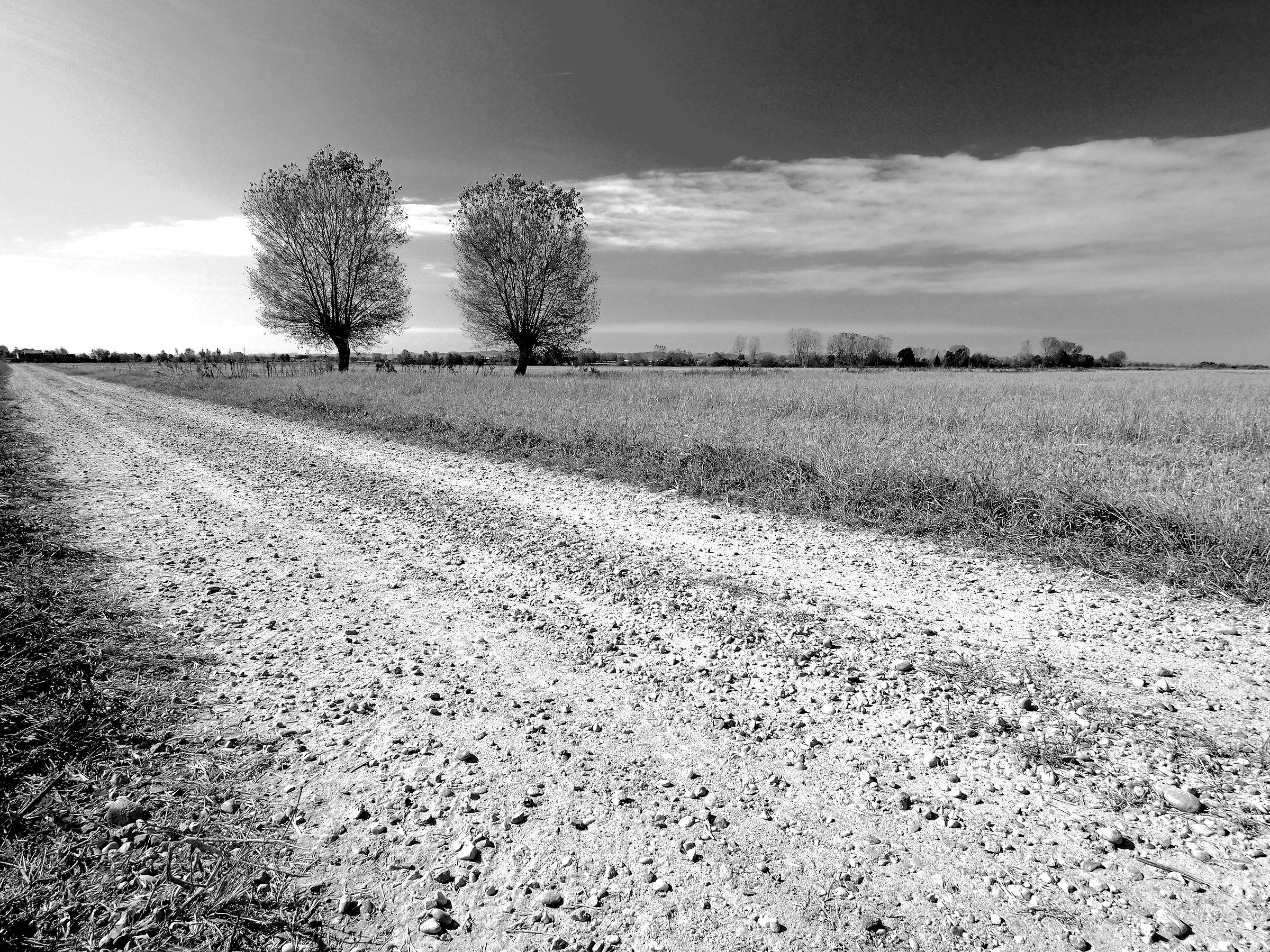 La strada di polvere