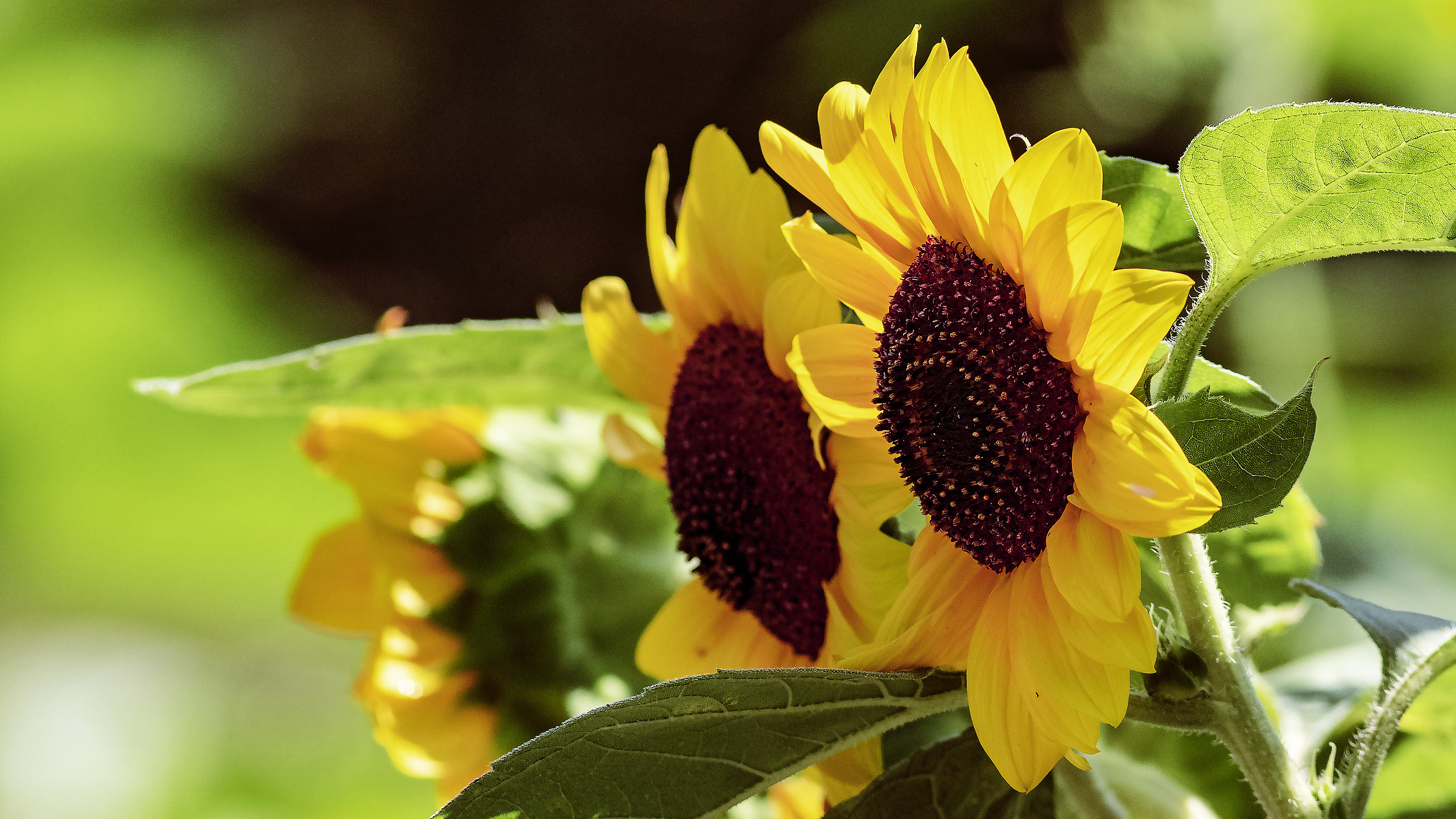 September then will come but won't find you