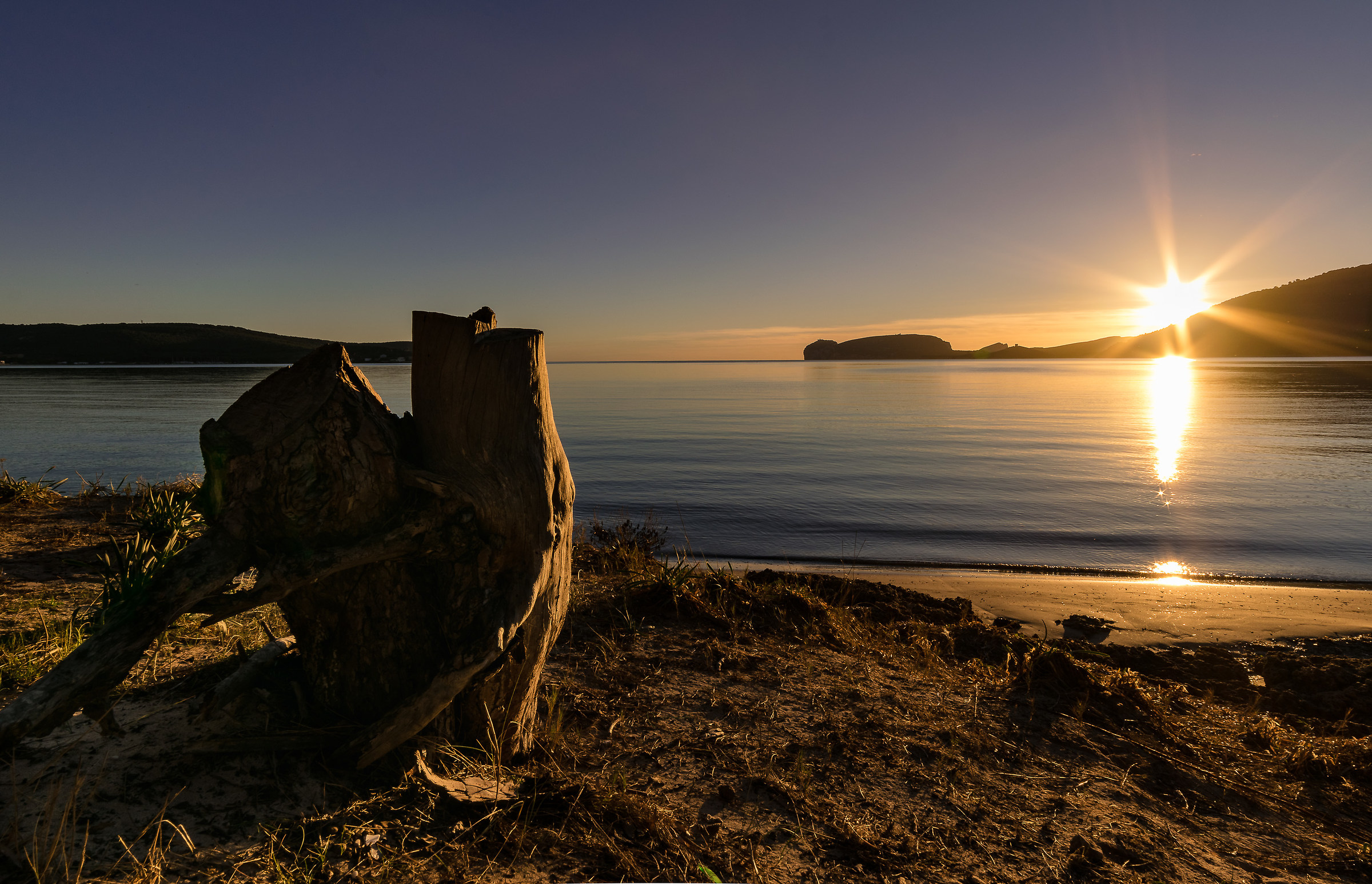 Una sentinella della natura