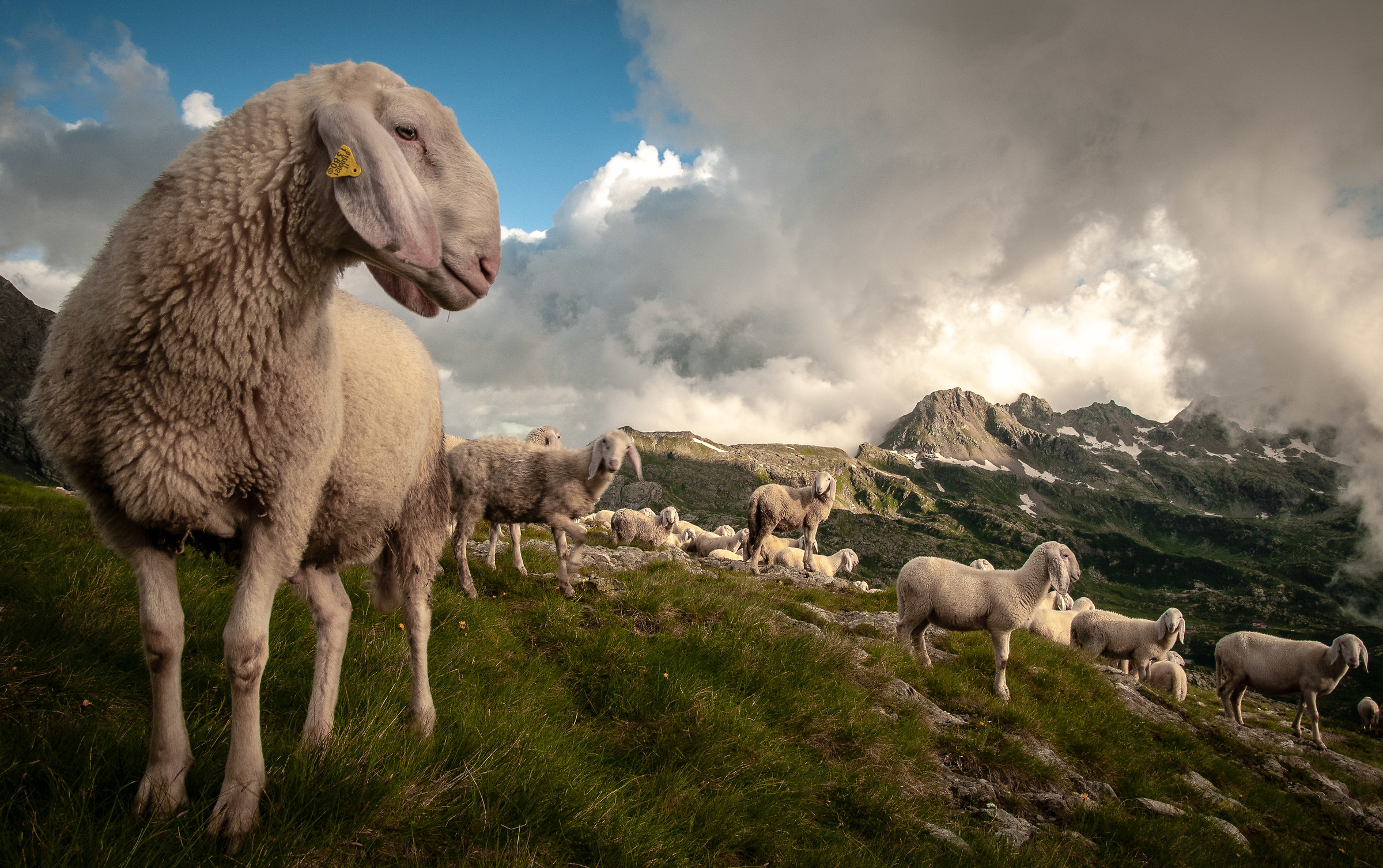 Un altro passo e ..... scappo!!!