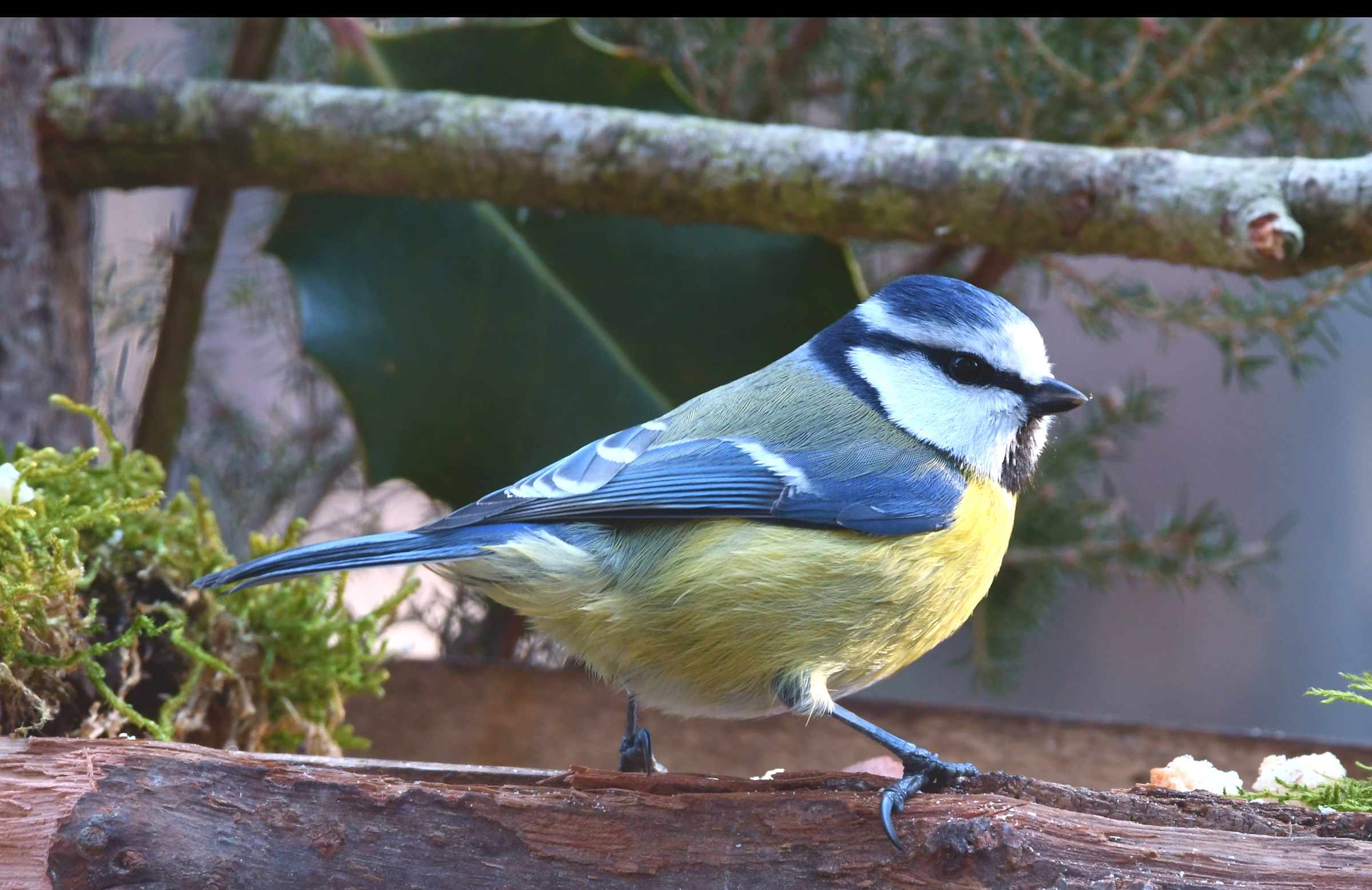Pochi grammi di color pastello